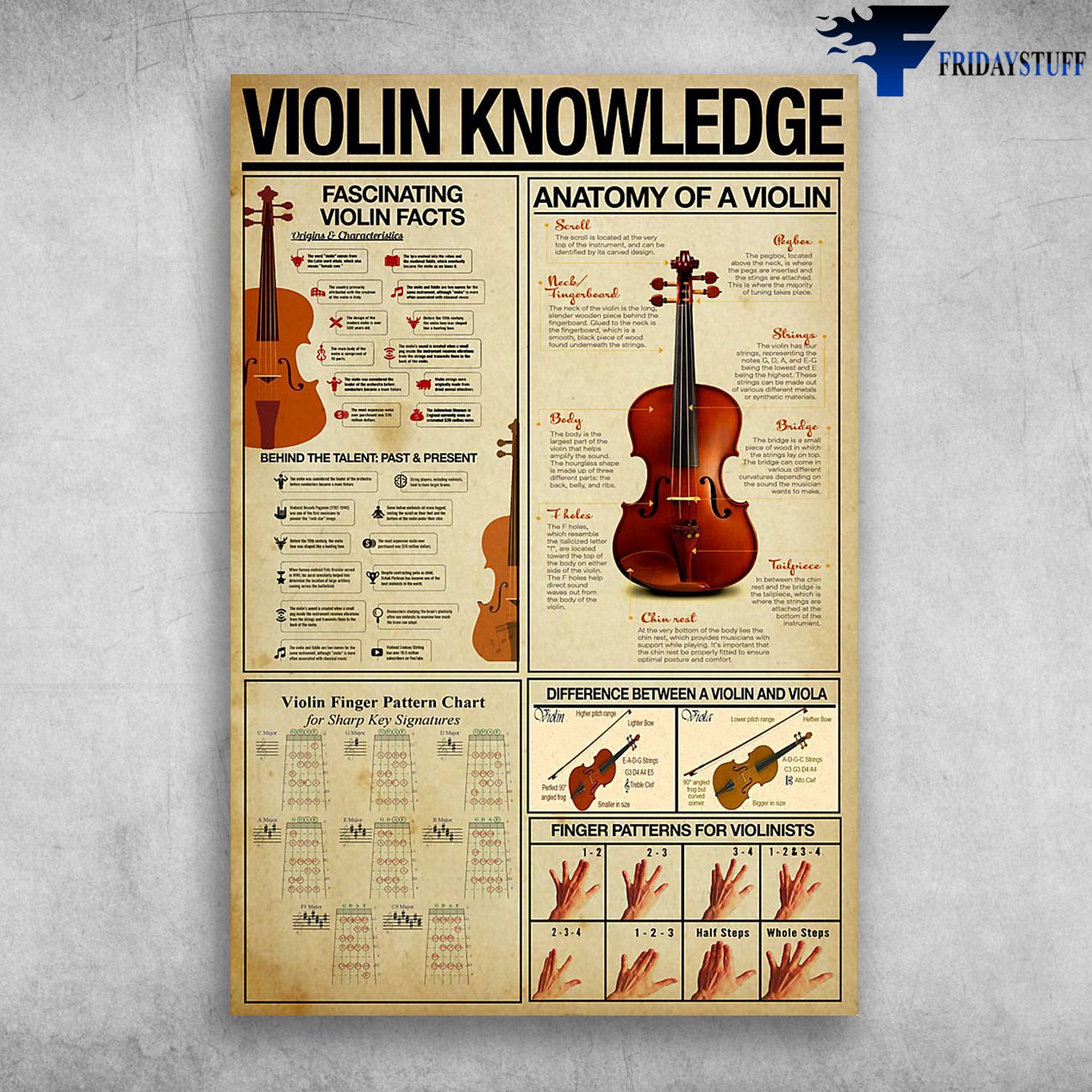 Violin Knowledge Fascinating Violin Facts Anatomy Of A Violin