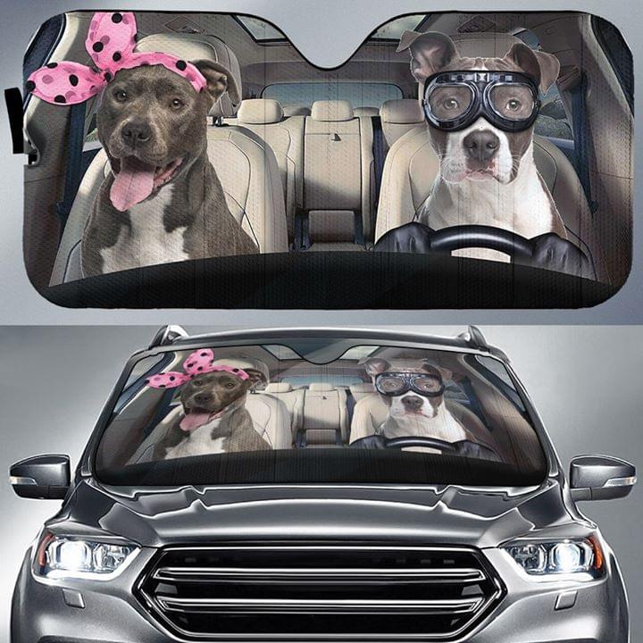 Funny Couple Pitbull Dog Driver In The Car