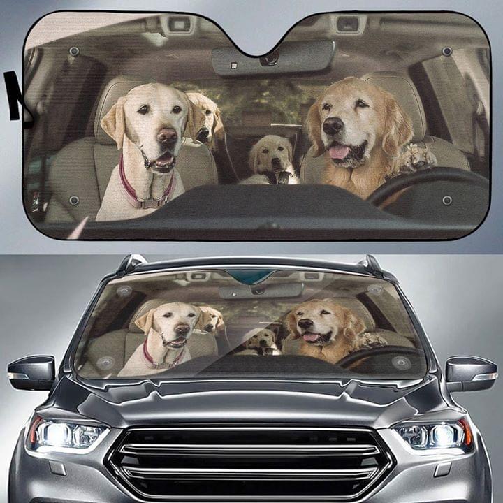 Funny Family Golden Retriever Driver In The Car