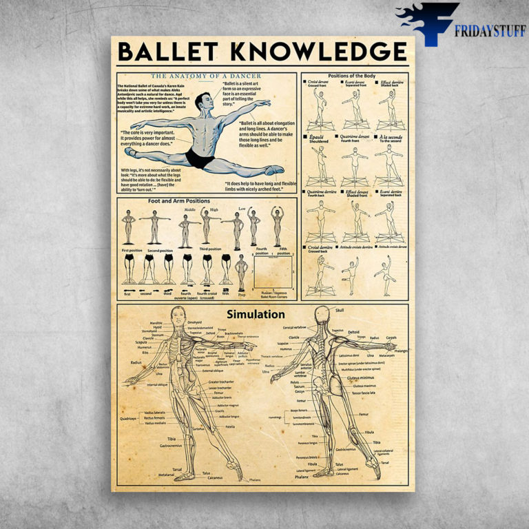 Ballet Knowledge Positions Of The Body The Anatomy Of A Dancer Canvas ...