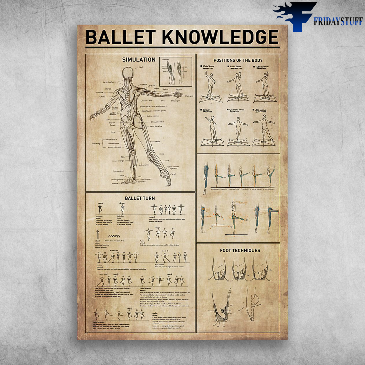 Ballet Knowledge Simulation Positions Of The Body Foot Techniques