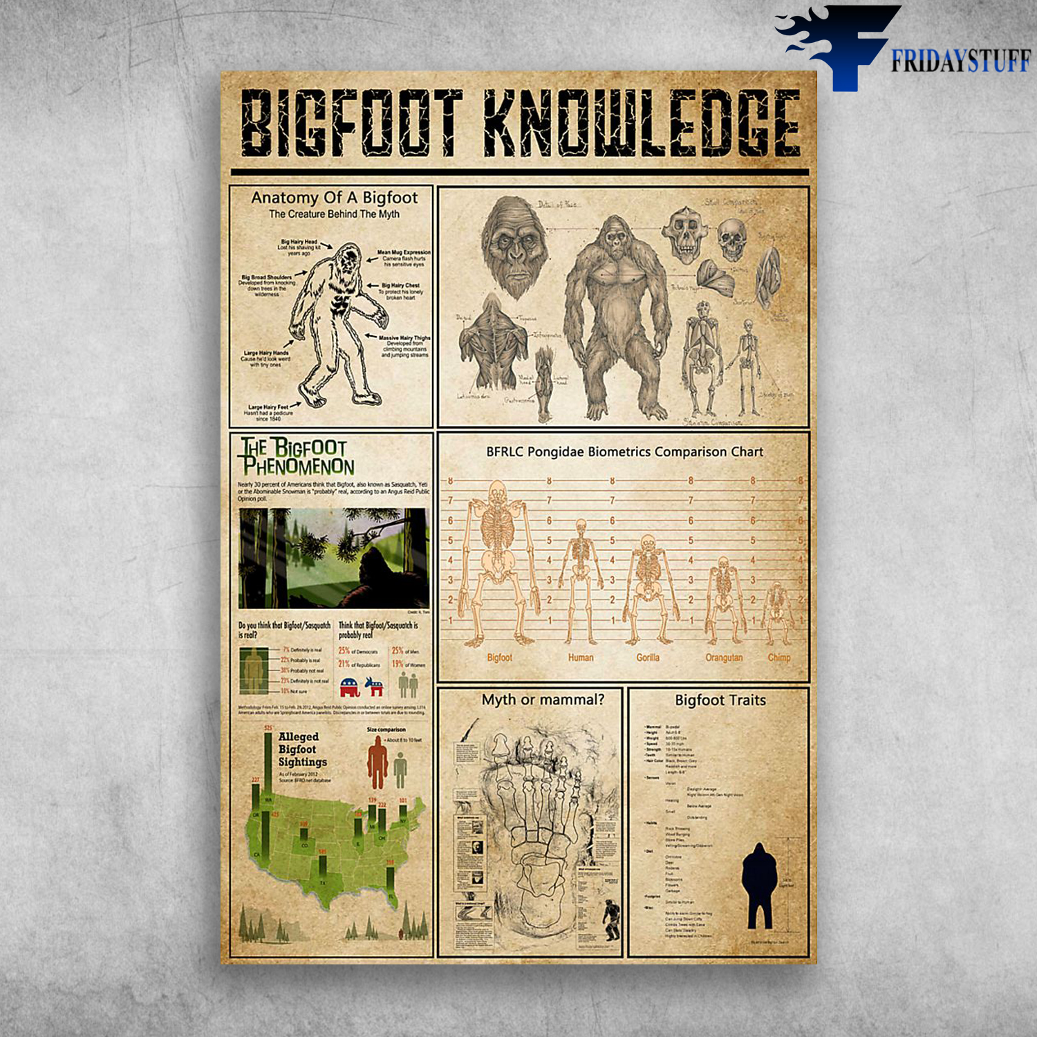 Bigfoot Knowledge The Bigfoot Phenomenon Anatomy Of A Bigfoot