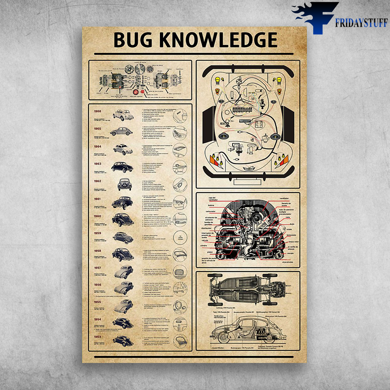 Bug knowledge Beetle knowledge Bug Car Beetle Car