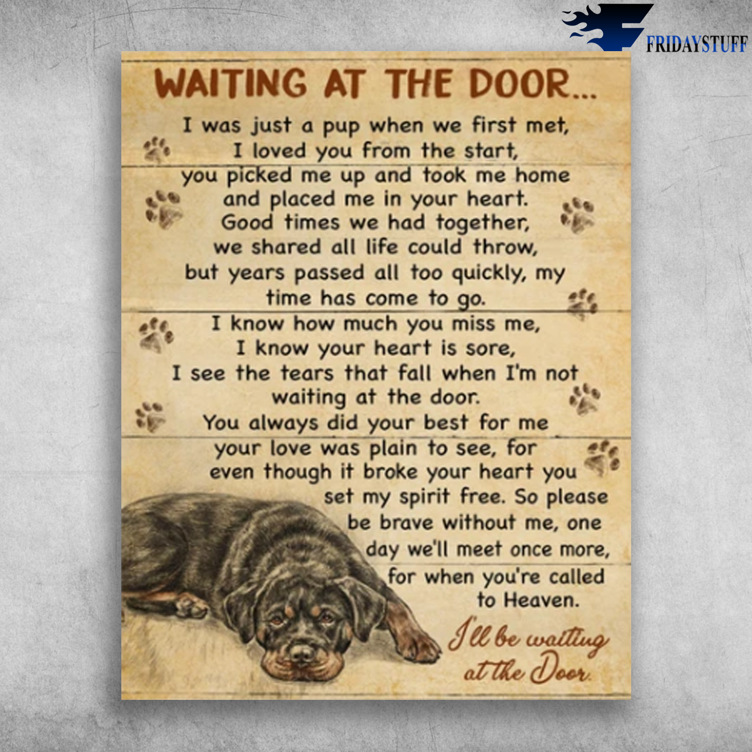 Cane Corso Dog Waiting At The Door I Loved You From The Start