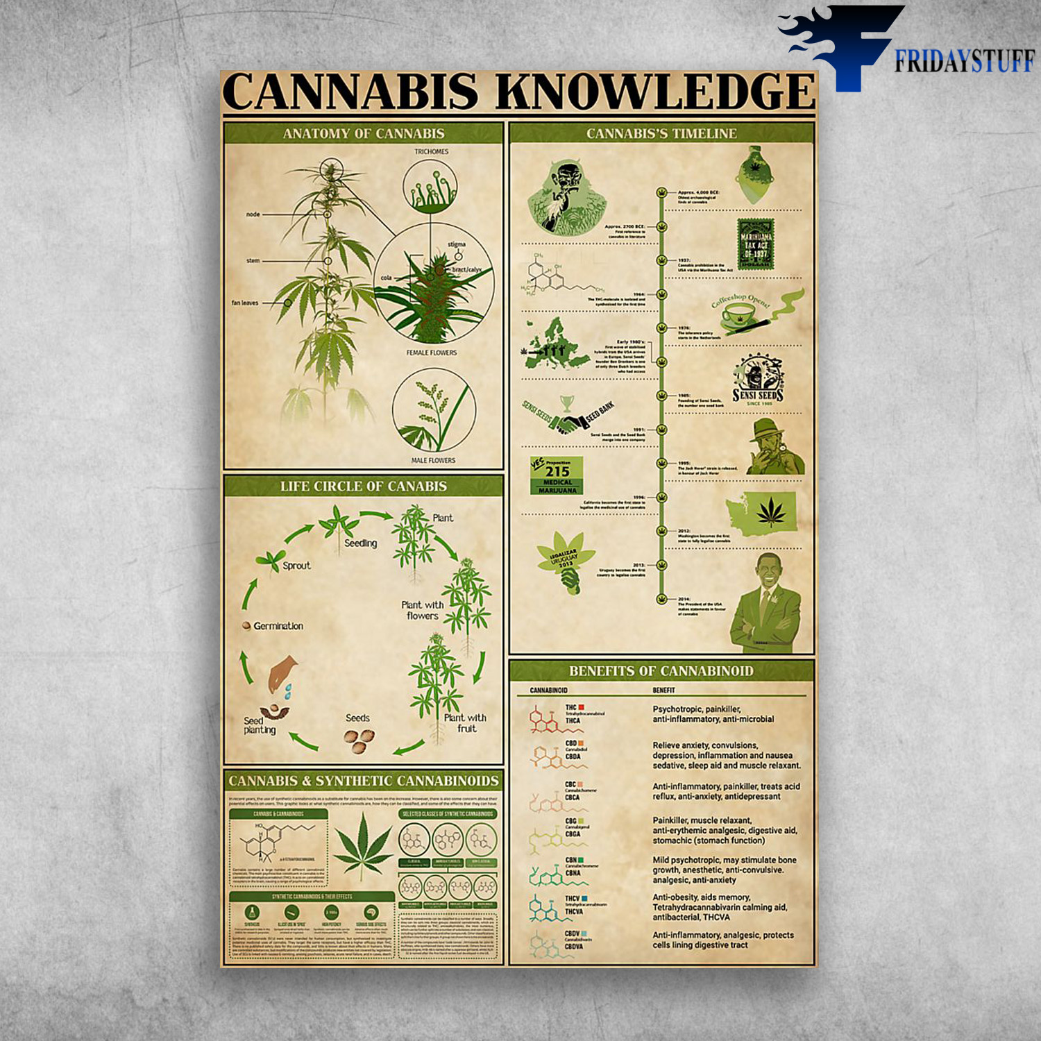 Cannabis Knowledge Anatomy Of Cannabis Life Circle Of Cannabis