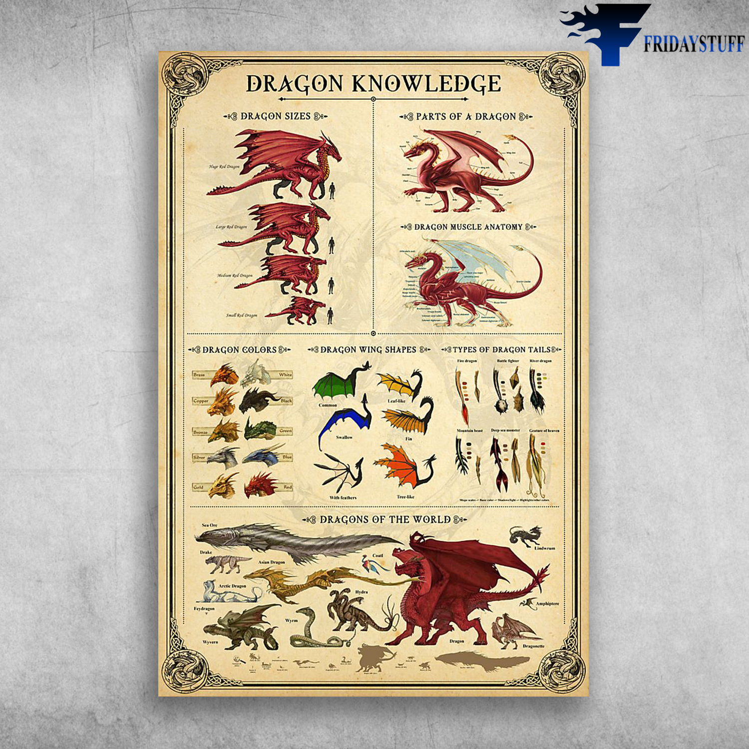 Dragon Knowledge Dragon Sizes Dragon Of The World