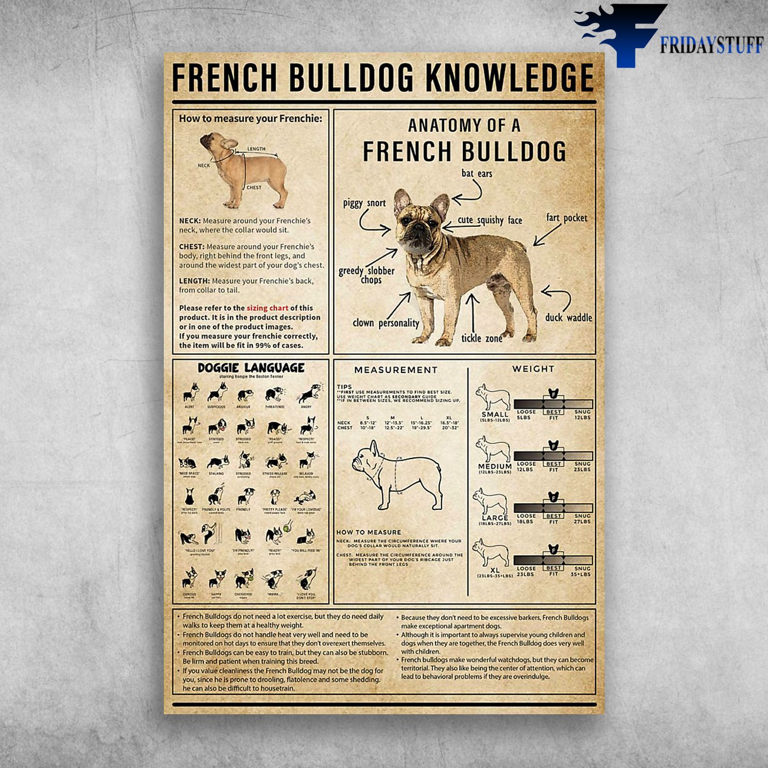 French Bulldog Knowledge How To Measure Your Frenchie