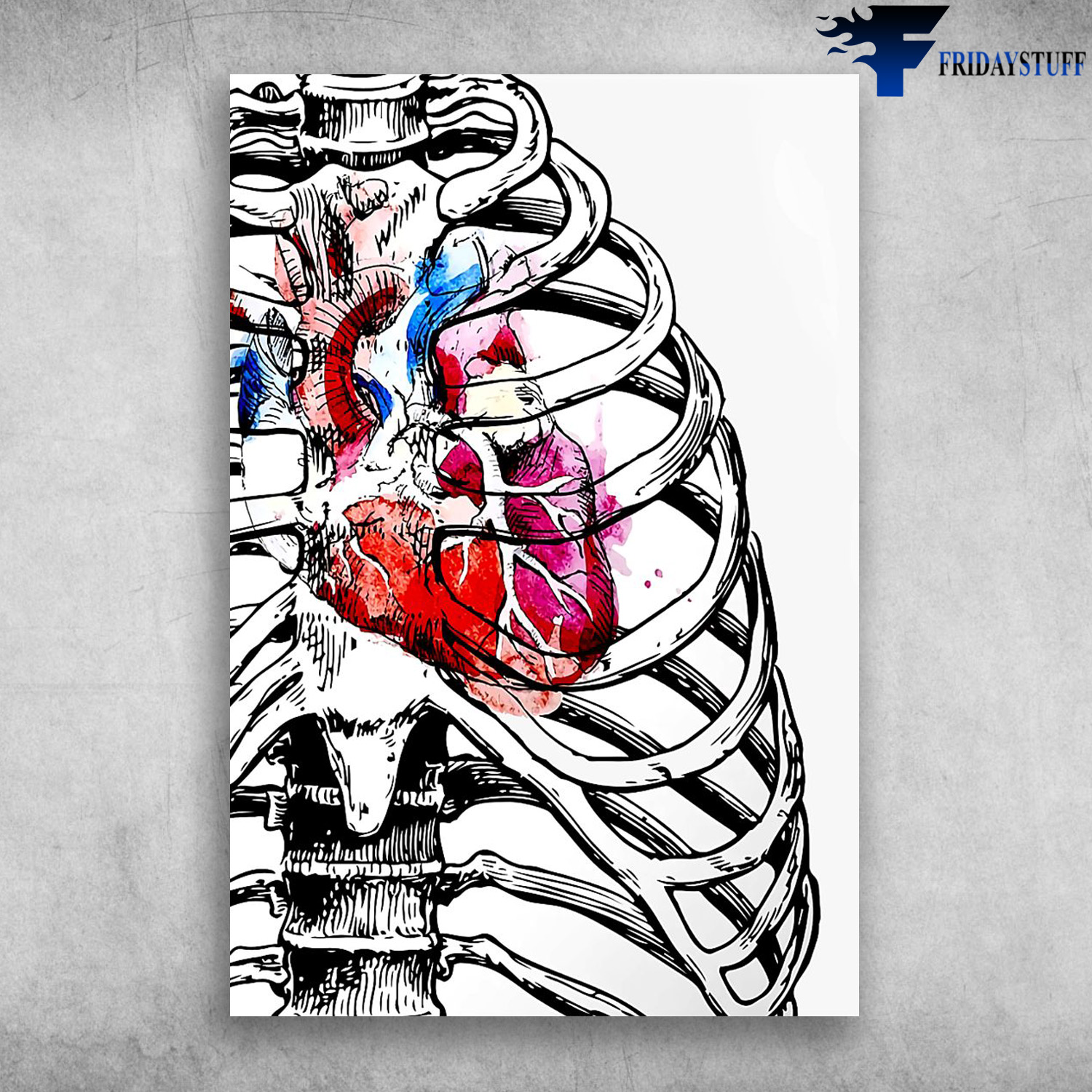 Human Ribcage Anatomy Anatomical Heart Art Human Heart Anatomy