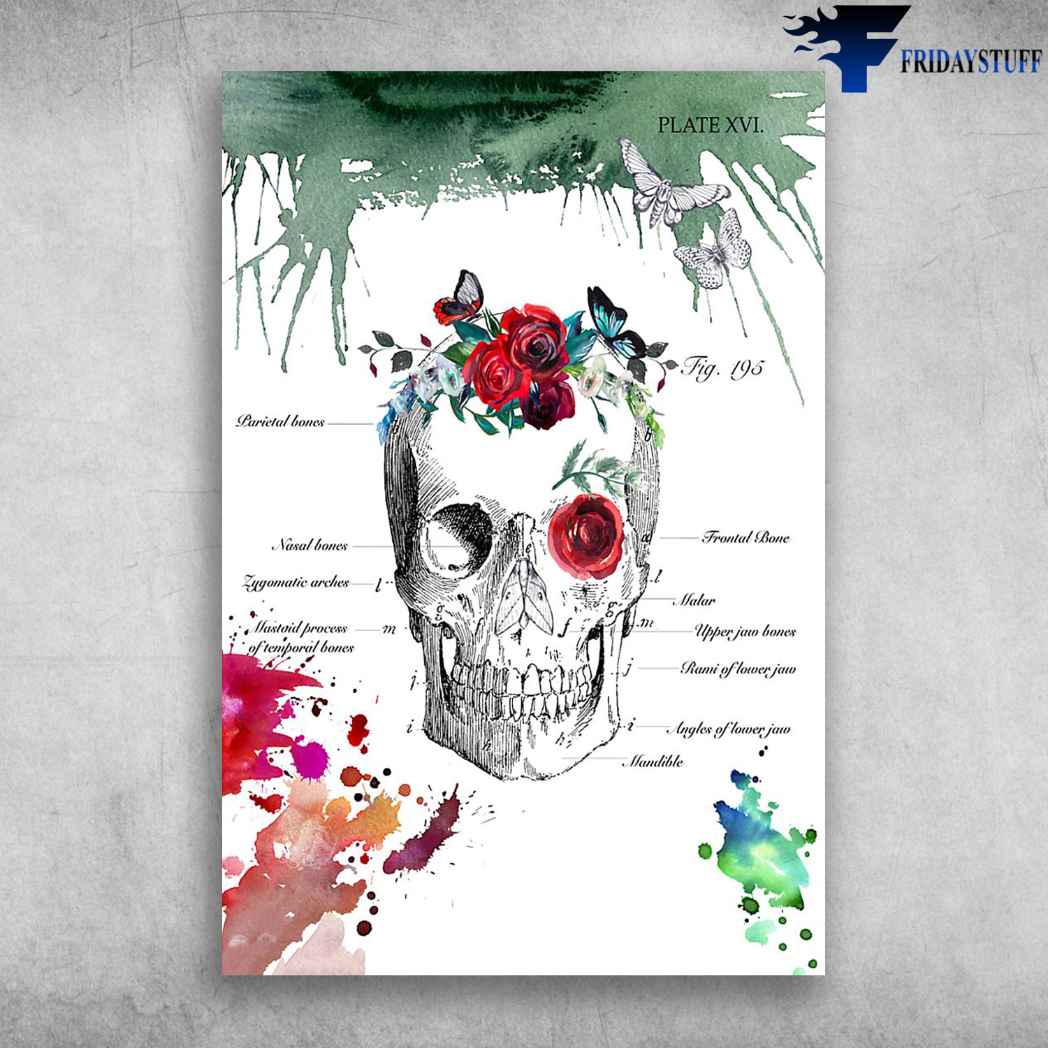 Human Skull Anatomy Flower Floral Skull Angles Of Lower Jaw