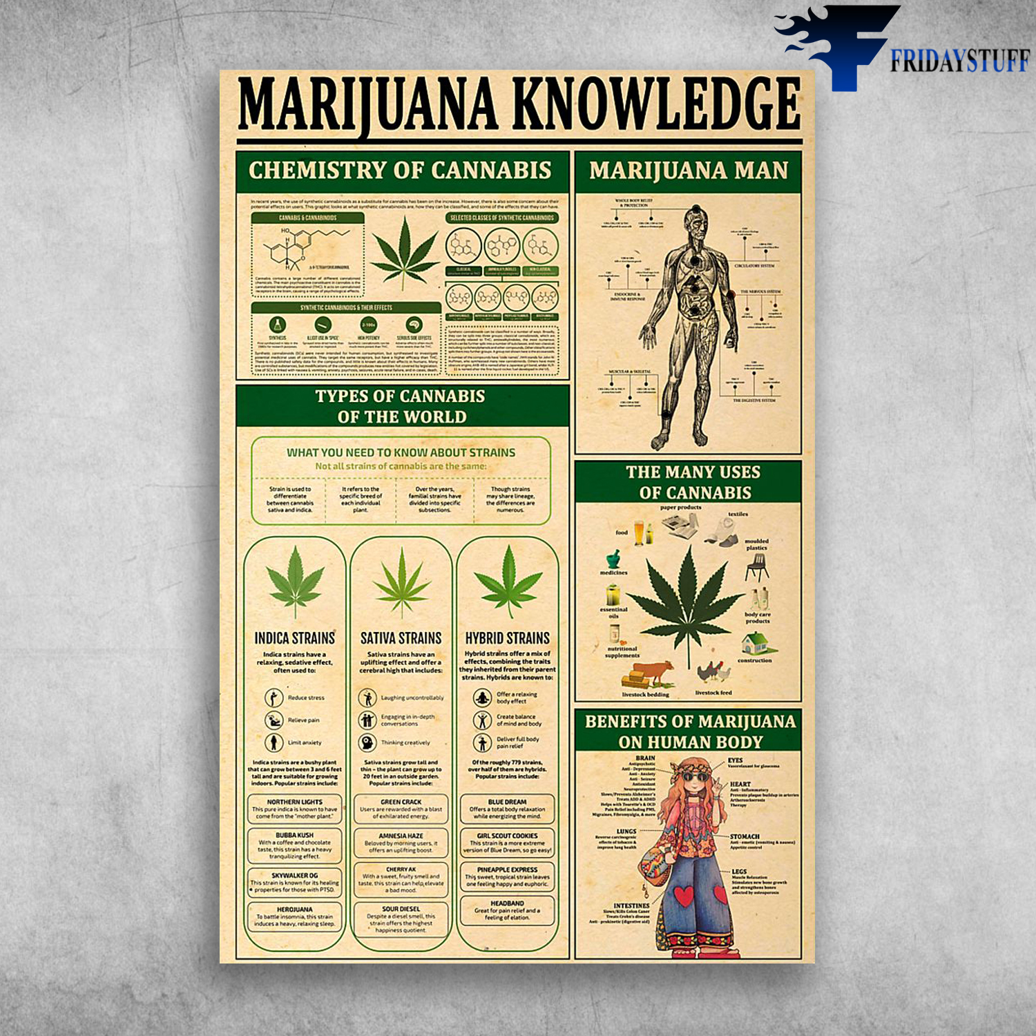 Marijuana Knowledge Chemistry Of Cannabis Marijuana Man