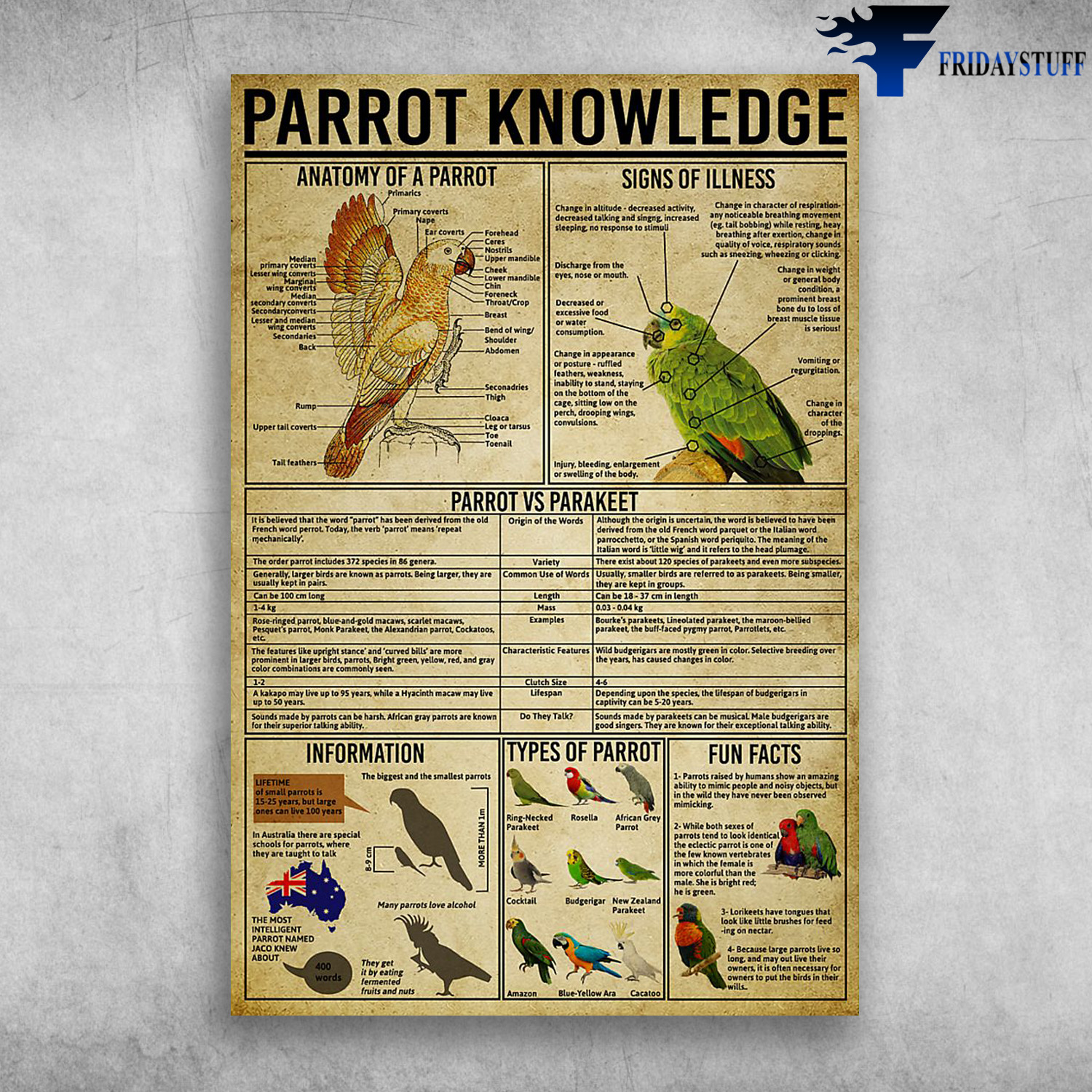 Parrot Knowledge Anatomy Of A Parrot Signs Of Illness