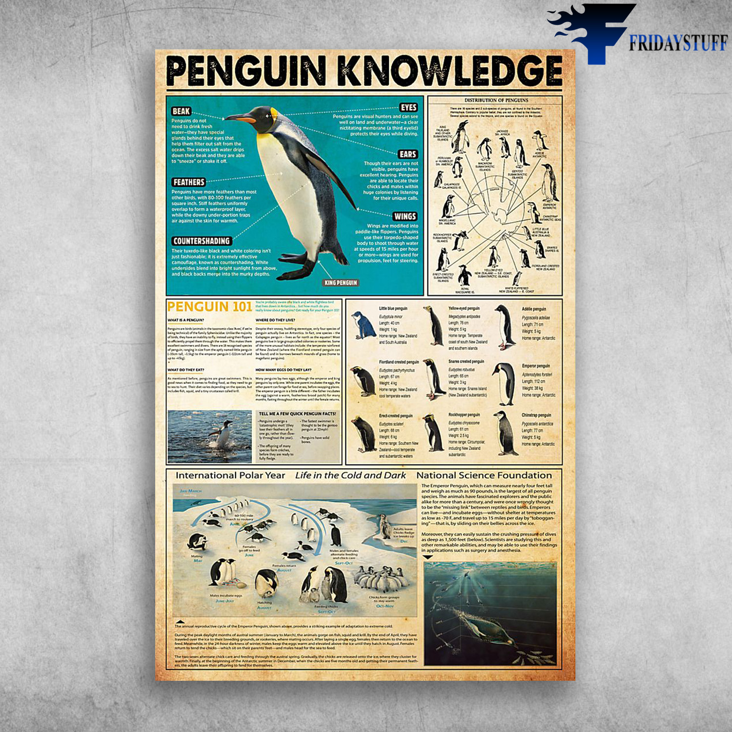 Penguin Knowledge Distribution Of Penguins Life In The Cold And Dark