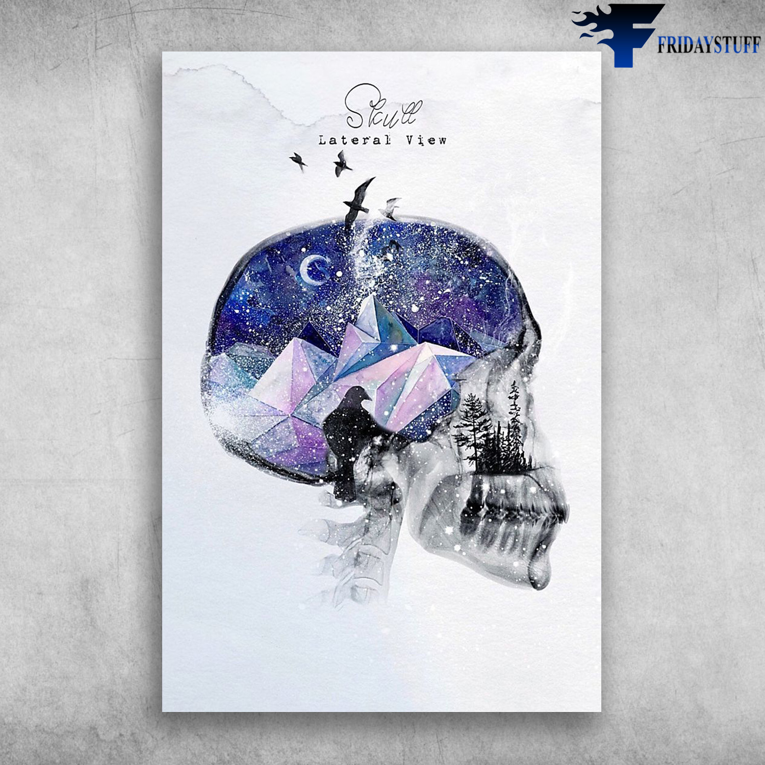 Skull Lateral View Human Skull Anatomy With Magical Night Scenery