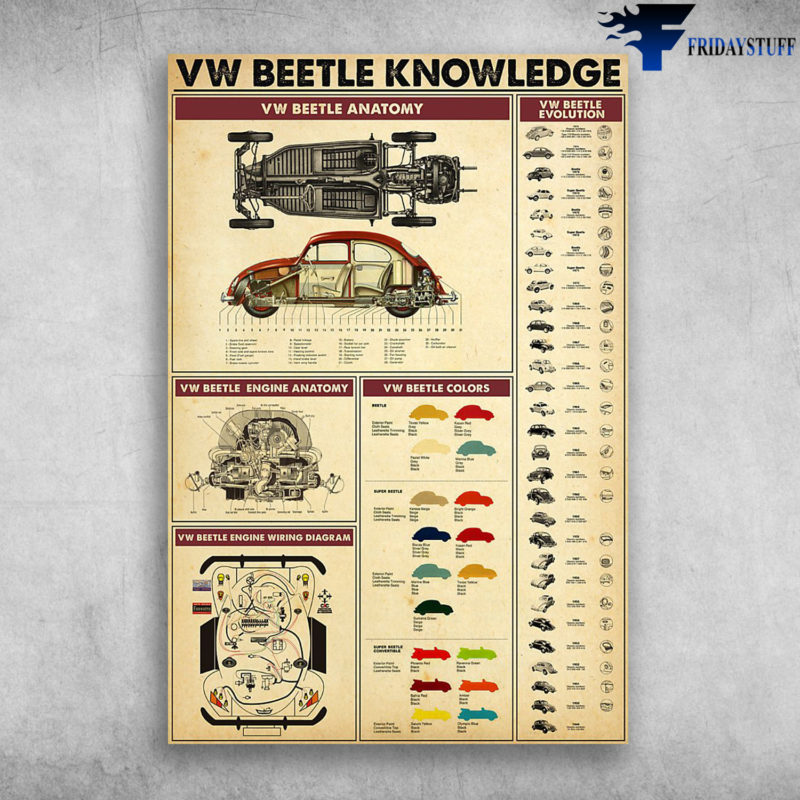 Vw Beetle Knowledge Vw Beetle Anatomy Vw Beetle Evolution Canvas ...