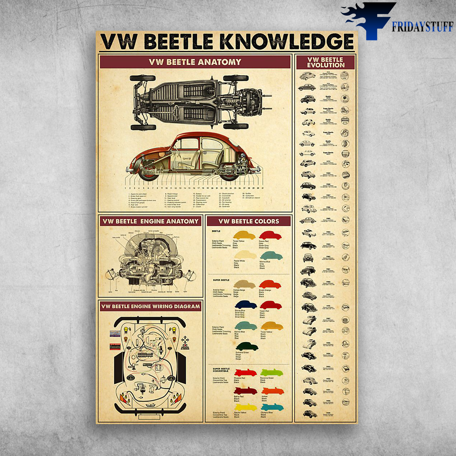 Vw Beetle Knowledge Vw Beetle Anatomy Vw Beetle Evolution