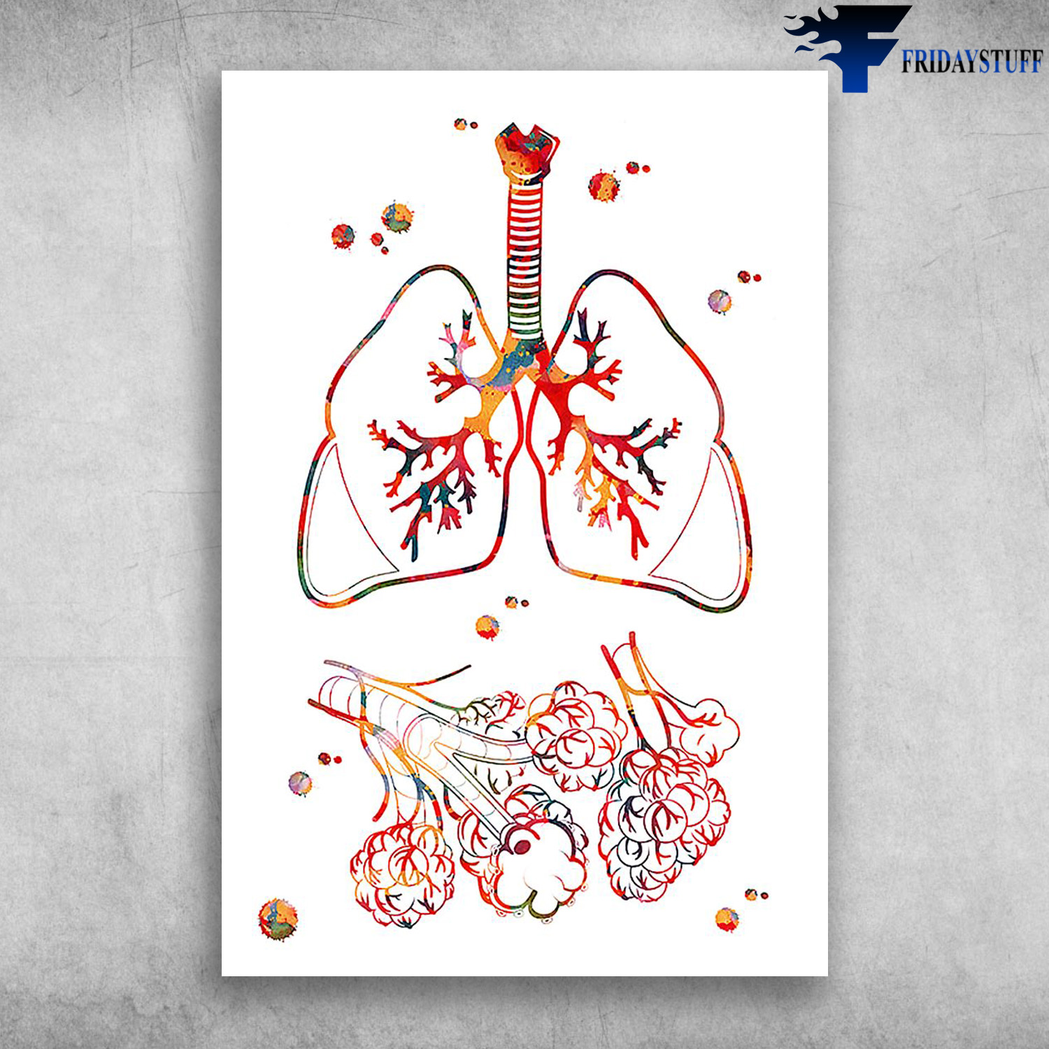 Watercolor Human Lungs Anatomy Colorful Lungs Watercolor