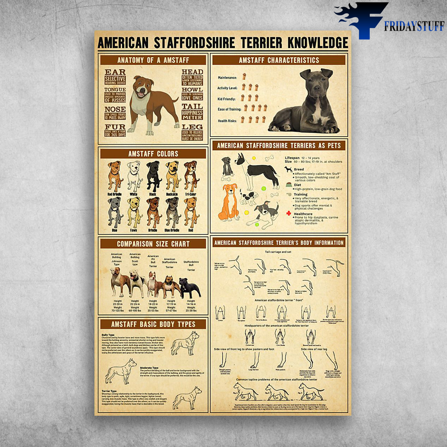 American Staffordshire Terrier Knowledge Anatomy Of A Amstaff