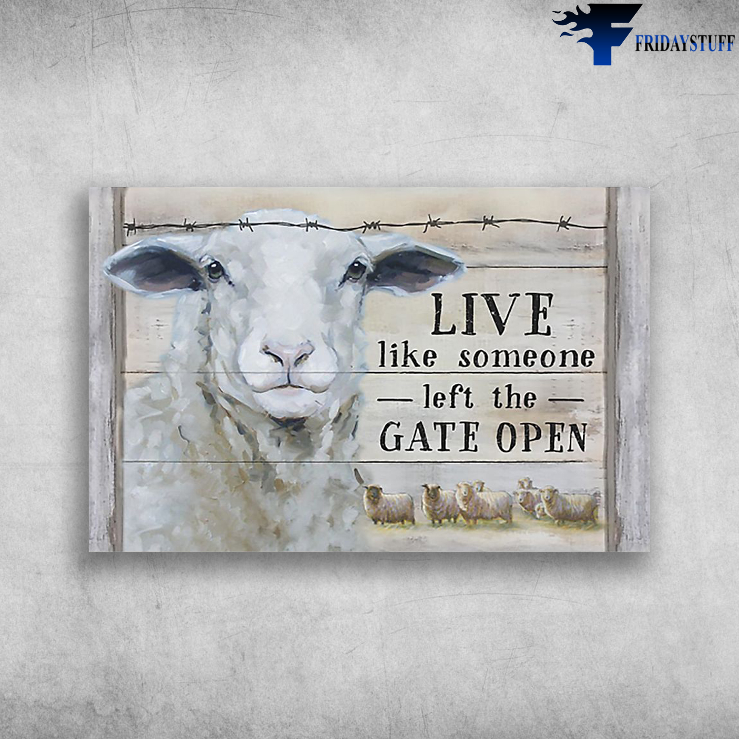 Baby White Sheep Live Like Someone Left The Gate Open