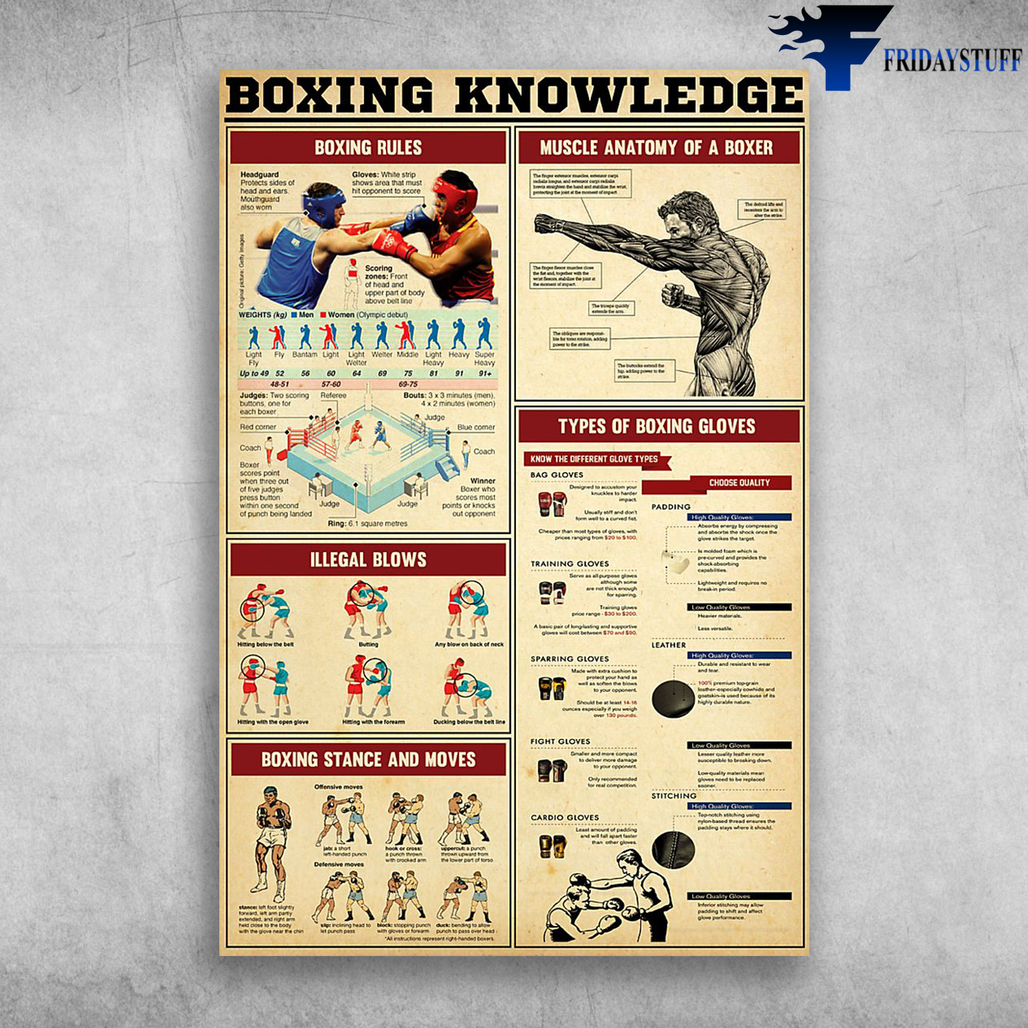 Boxing Knowledge Muscle Anatomy Of A Boxer Types Of Boxing Gloves