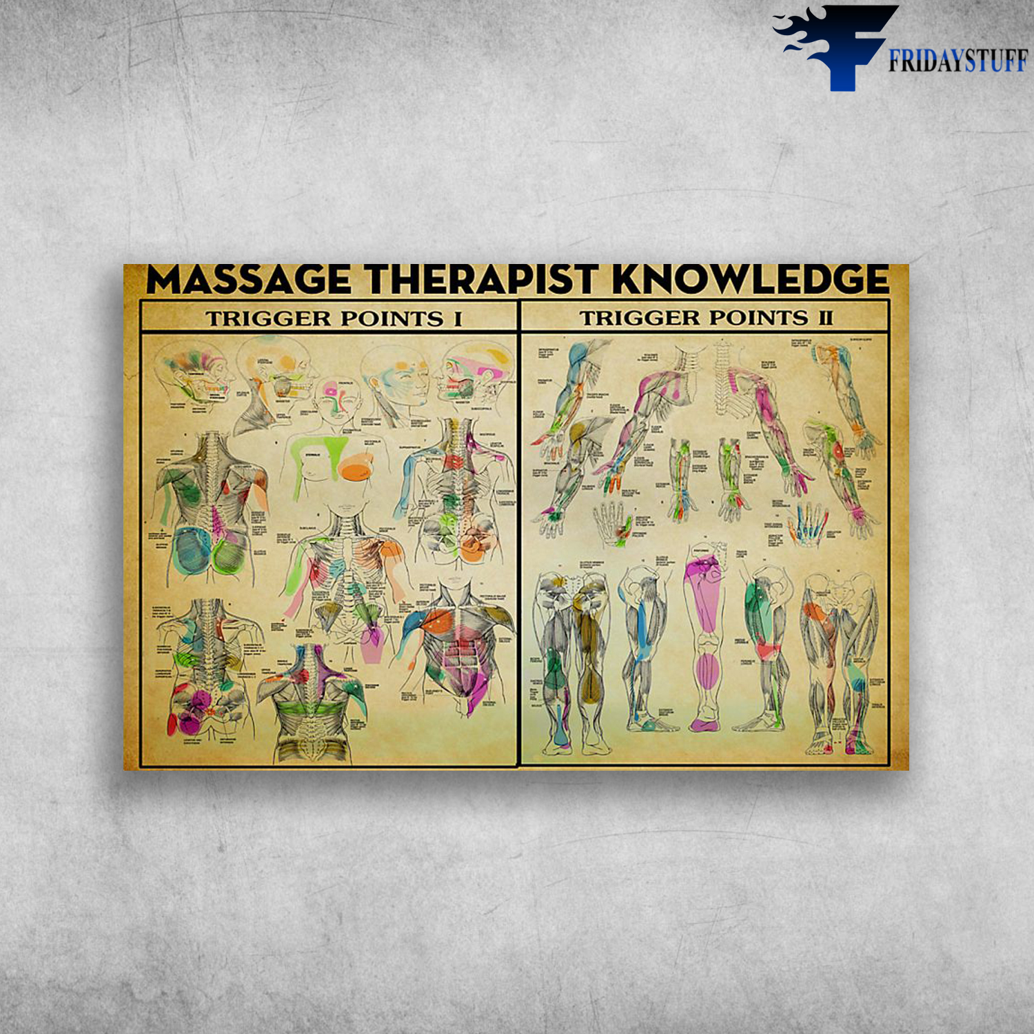 Massage Therapist Knowledge TRigger Points 1 Trigger Points 2