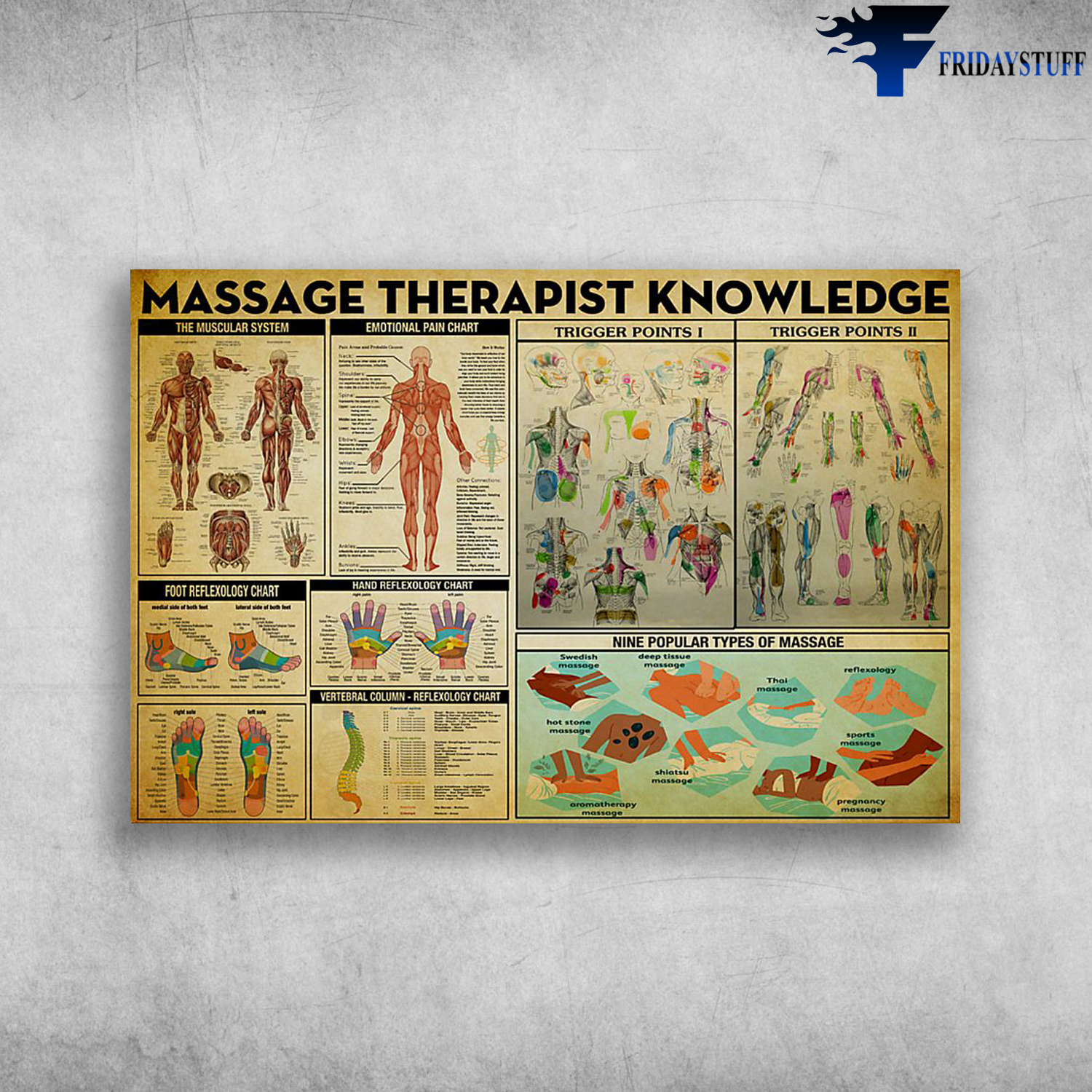 Massage Therapist Knowledge The Muscular System Foot Reflexology Chart
