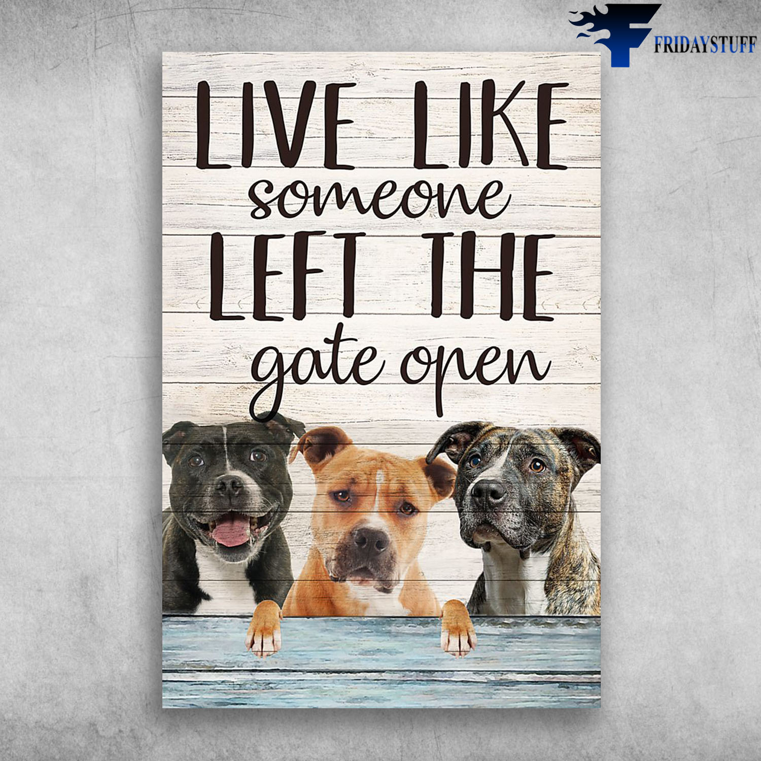 American Pit Bull Terrier Live Like Someone Left The Gate Open