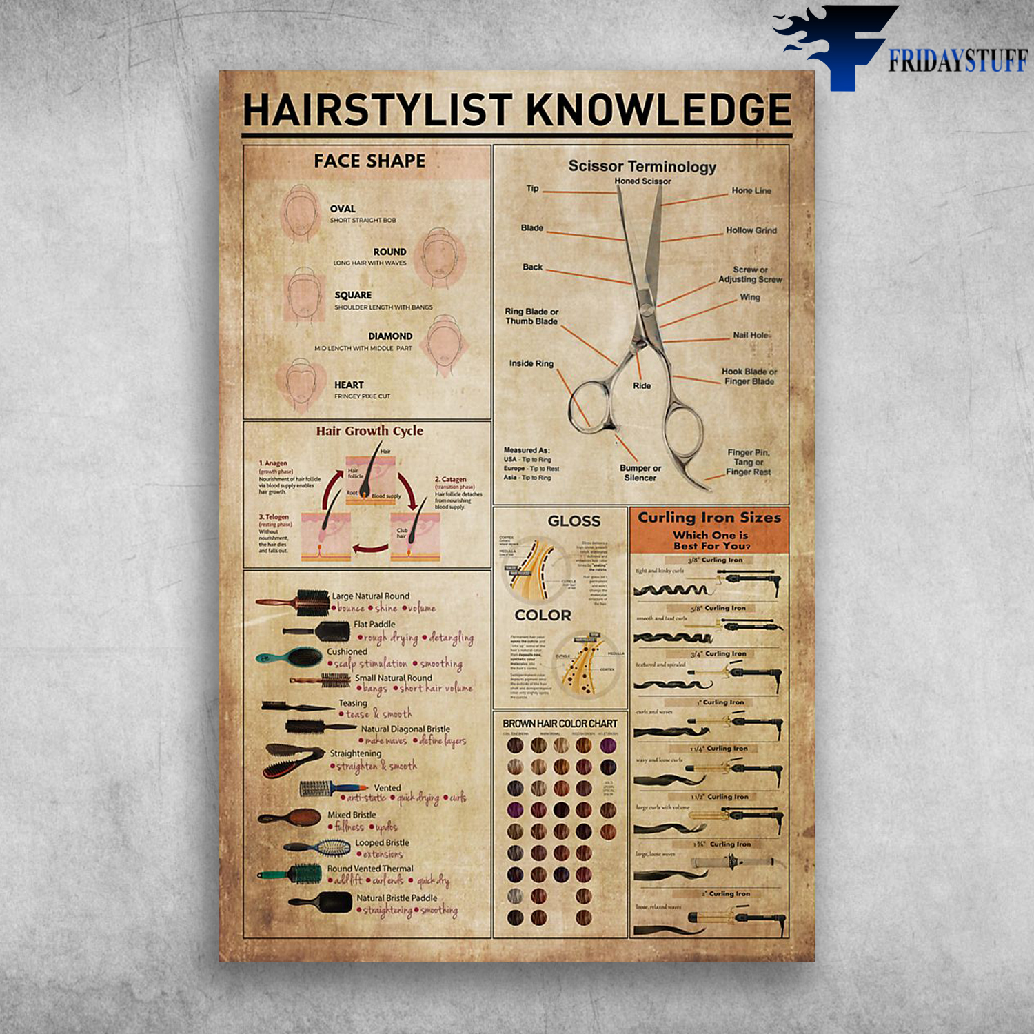 Hairstylist Knowledge Face Shape Scissor Terminology Hair Growth Cycle