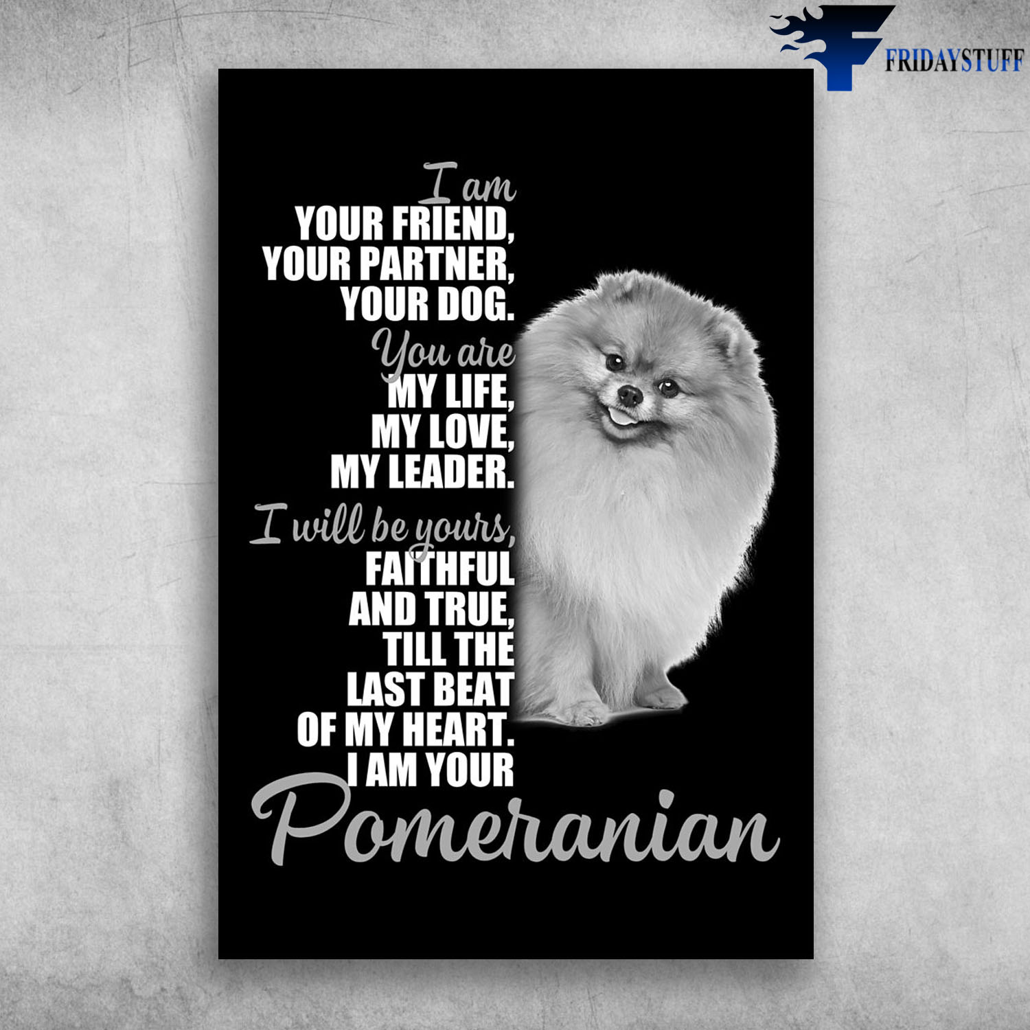 I Am Your Pomeranian I Am Your Friend Your Partner