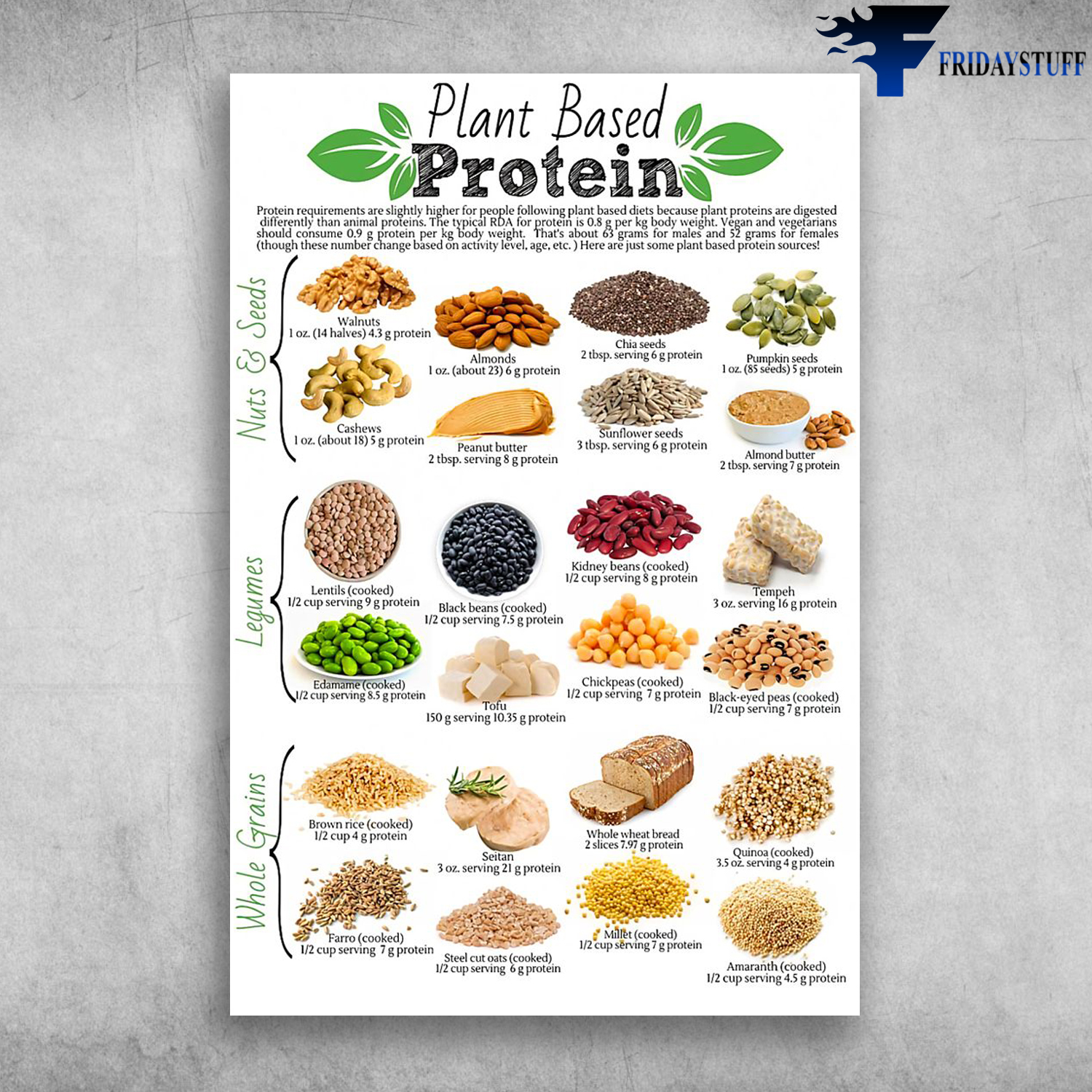 Plant-Based Protein Infographic