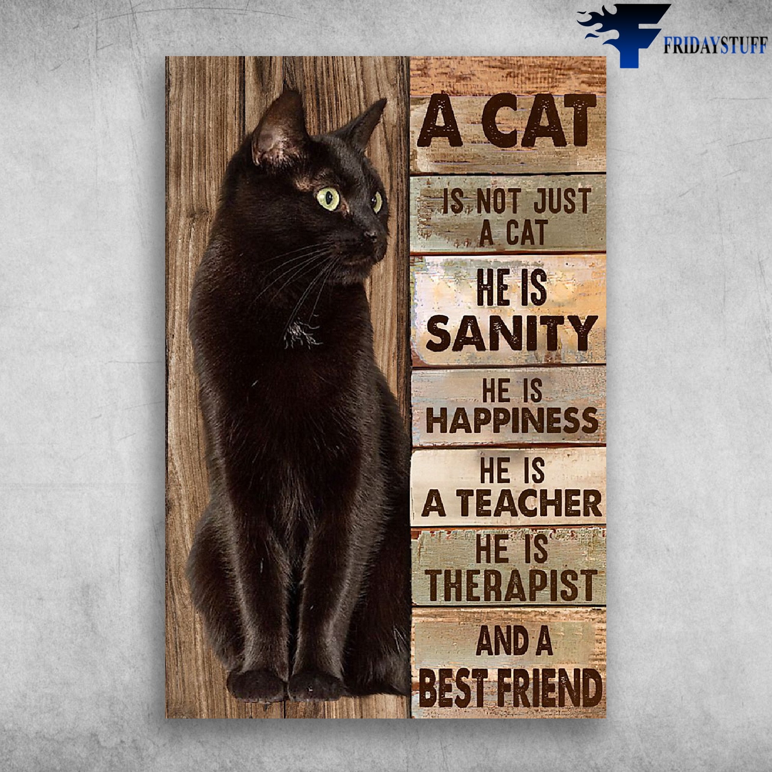 A Cat Is Not Just A Cat He is Sanity And Best Friend