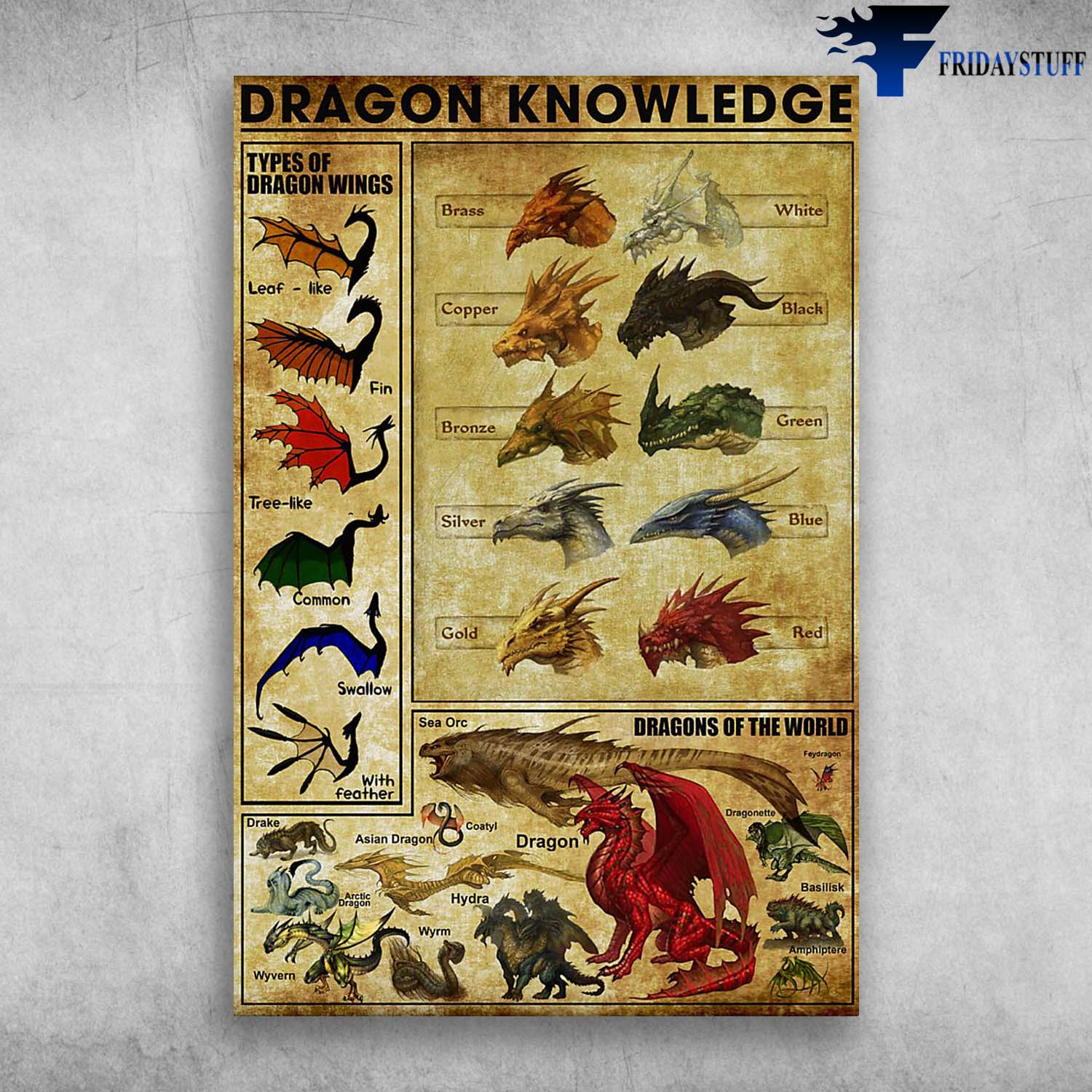 Dragon Knowledge - Types Of Dragon Wings