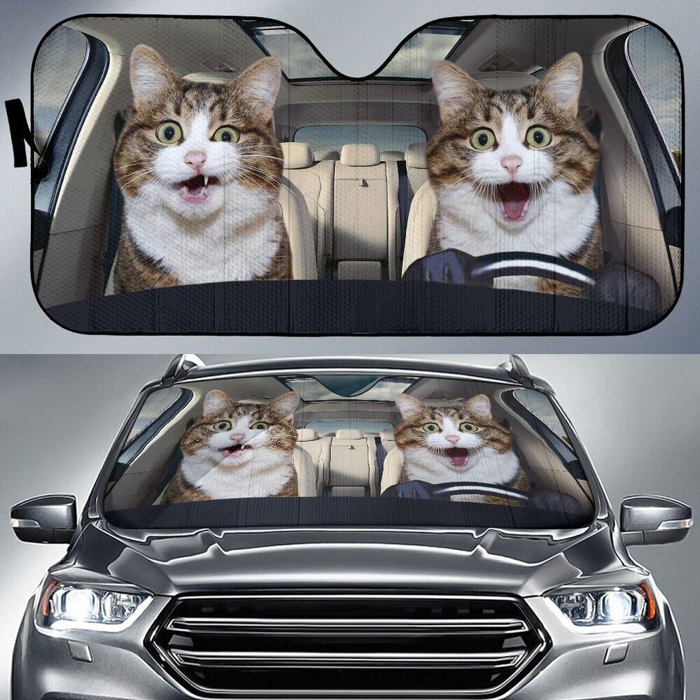 Funny Couple Cat Driving