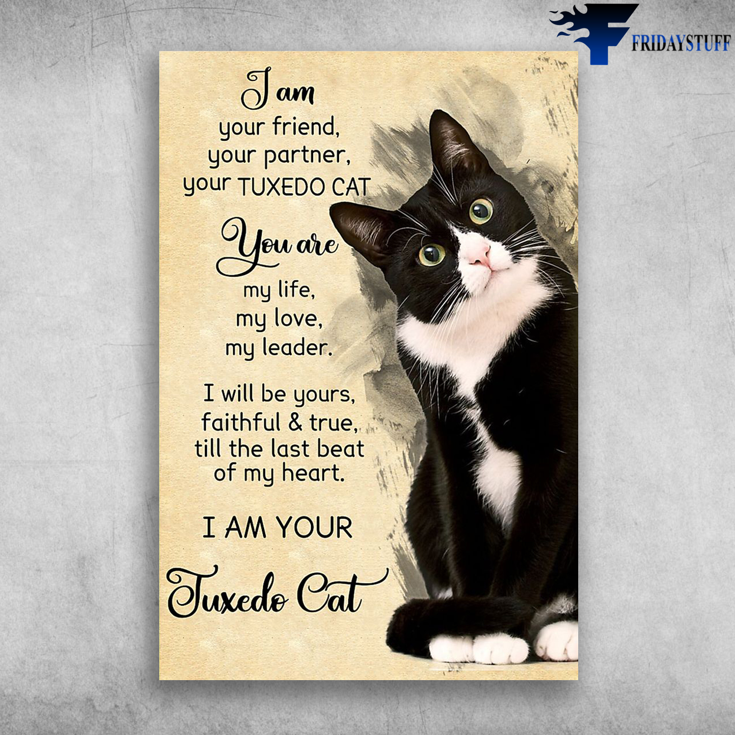 I Am Your Friend - I Am Your Juxedo Cat