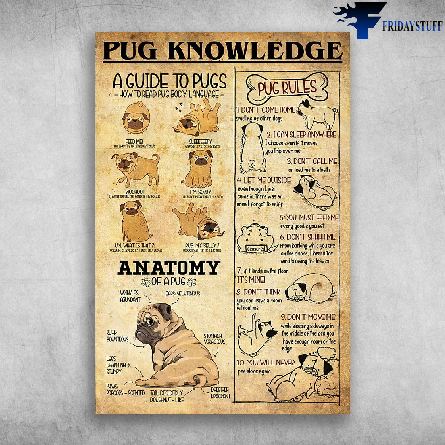 Pug Knowledge A Guide To Pugs Anatomy