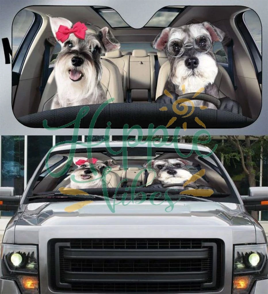 Schnauzer Car Dog Couple