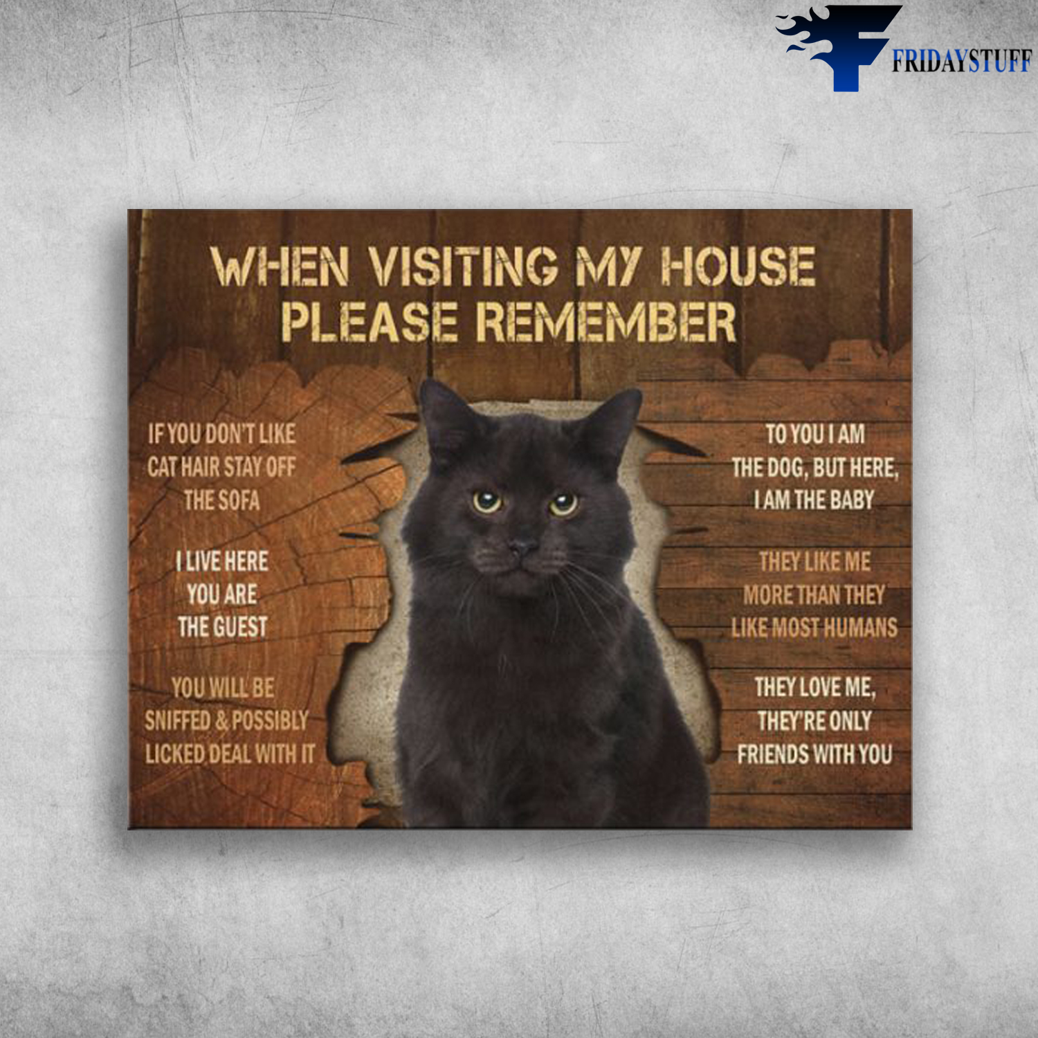 Black Cat When Visiting My House Please Remember