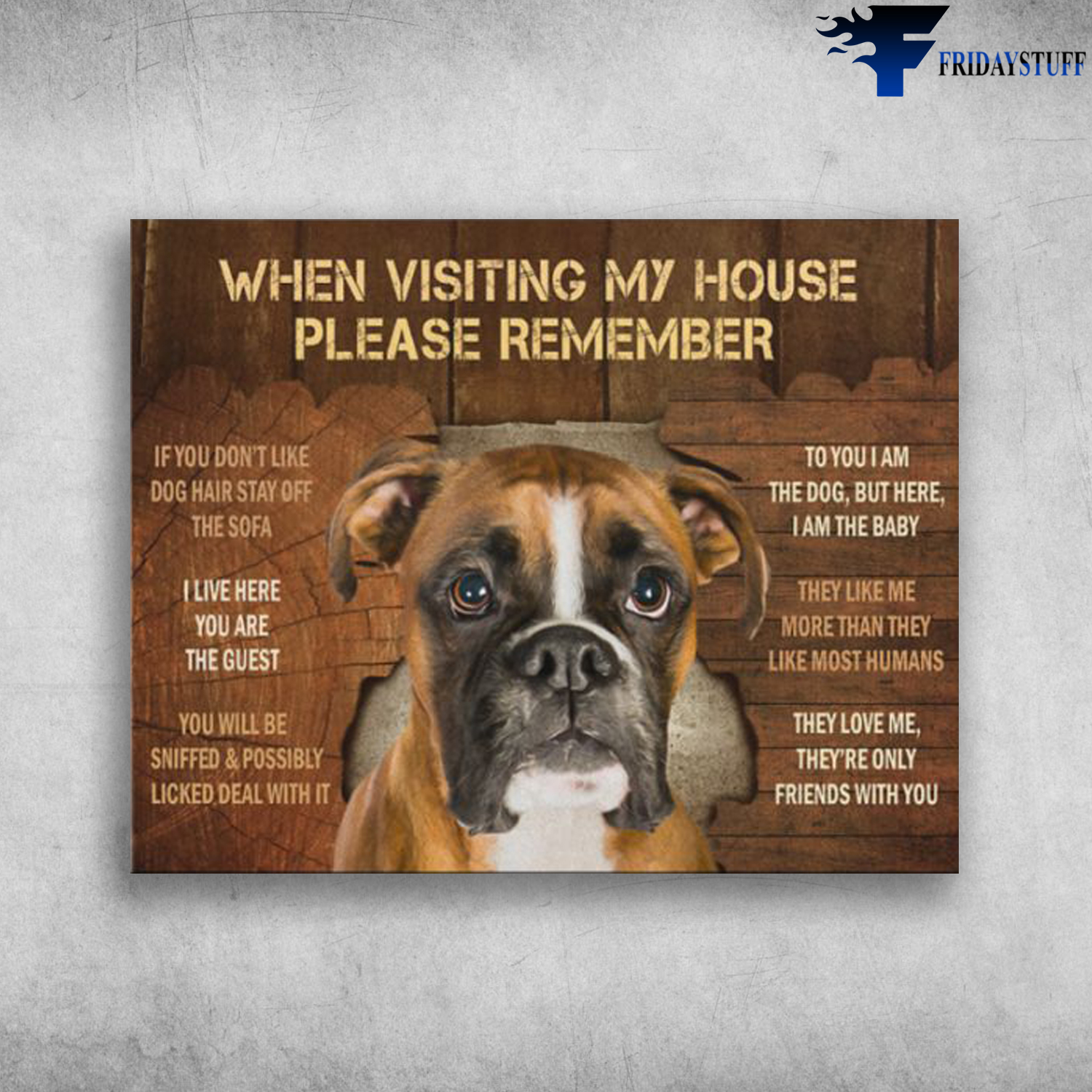 Boxer Dog When Visiting My House Please Remember