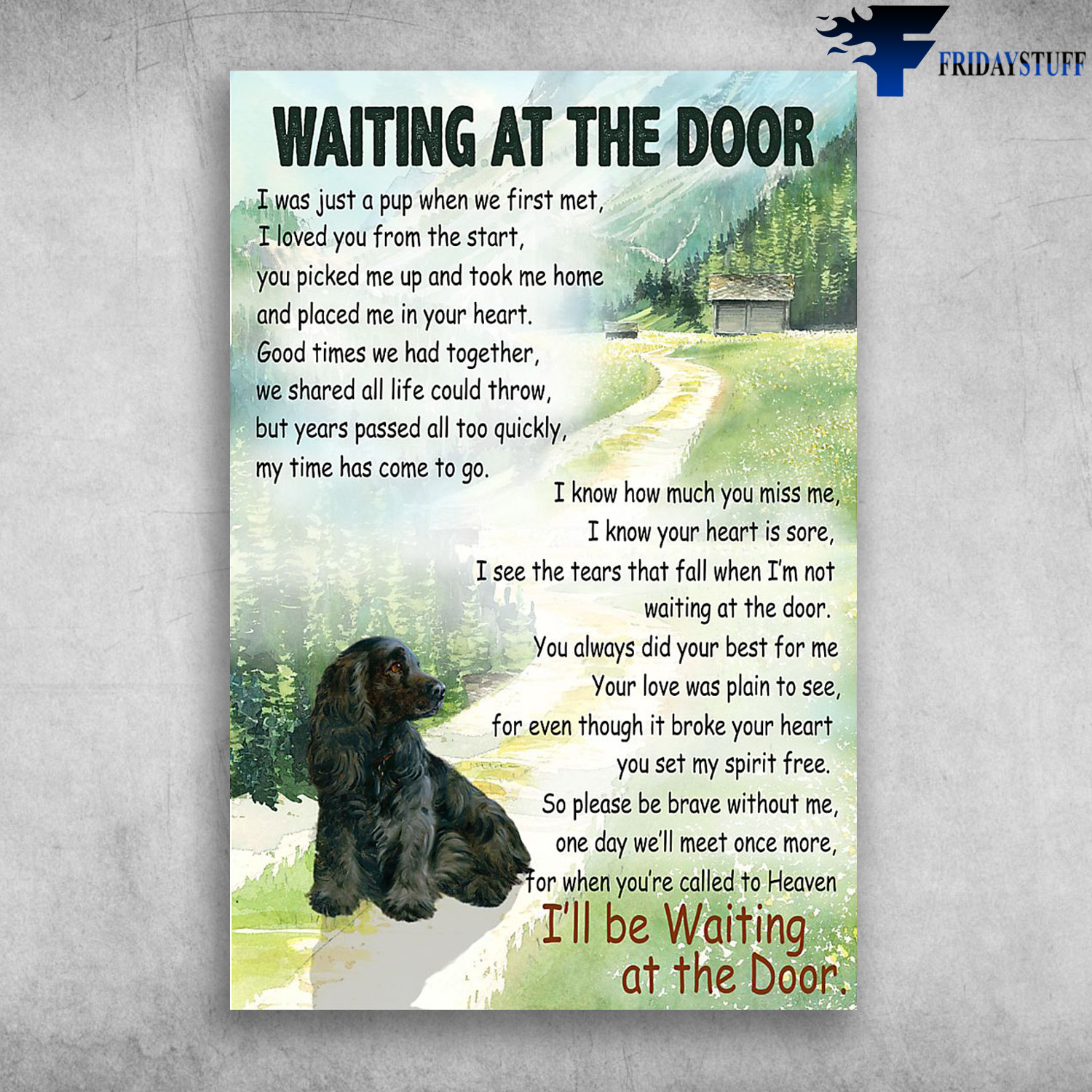 Cocker Spaniel Dog Waiting At The Door