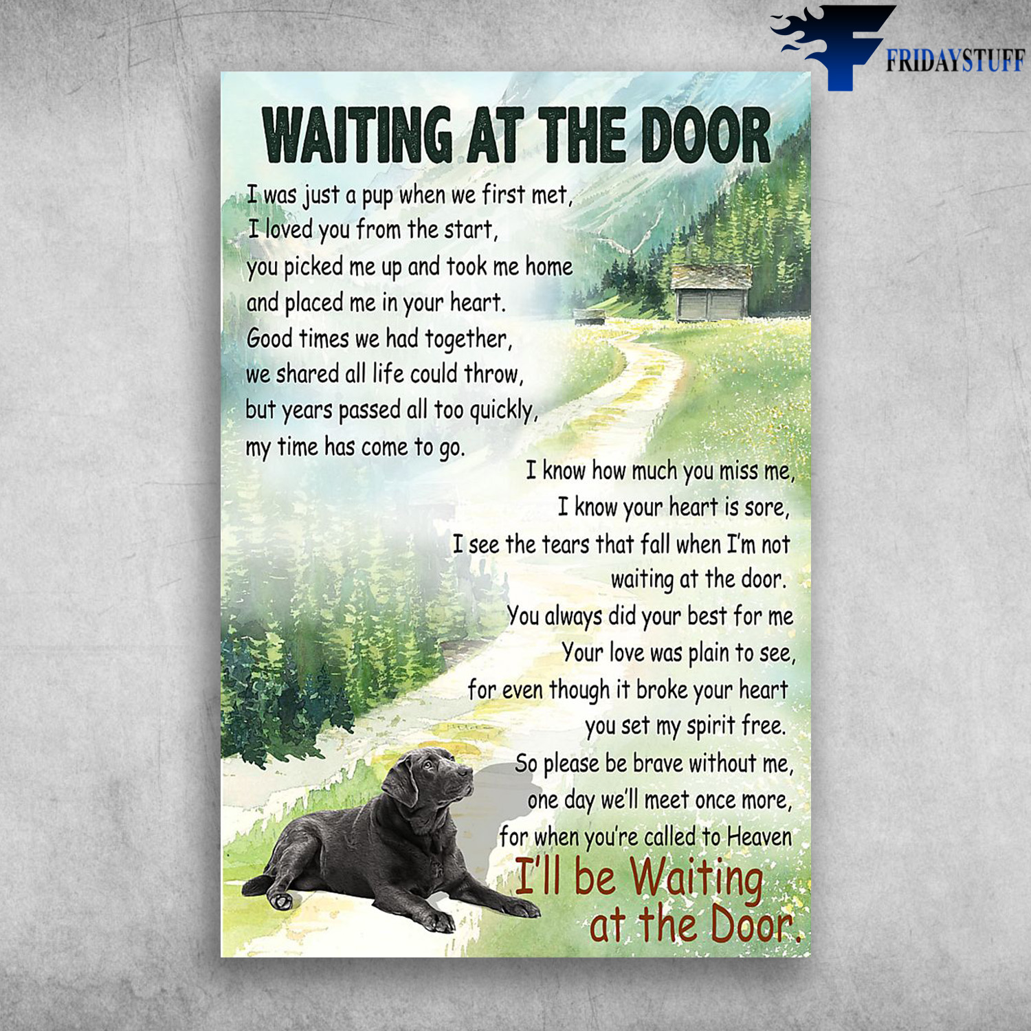 Waiting At The Door - Black Labrador Dog