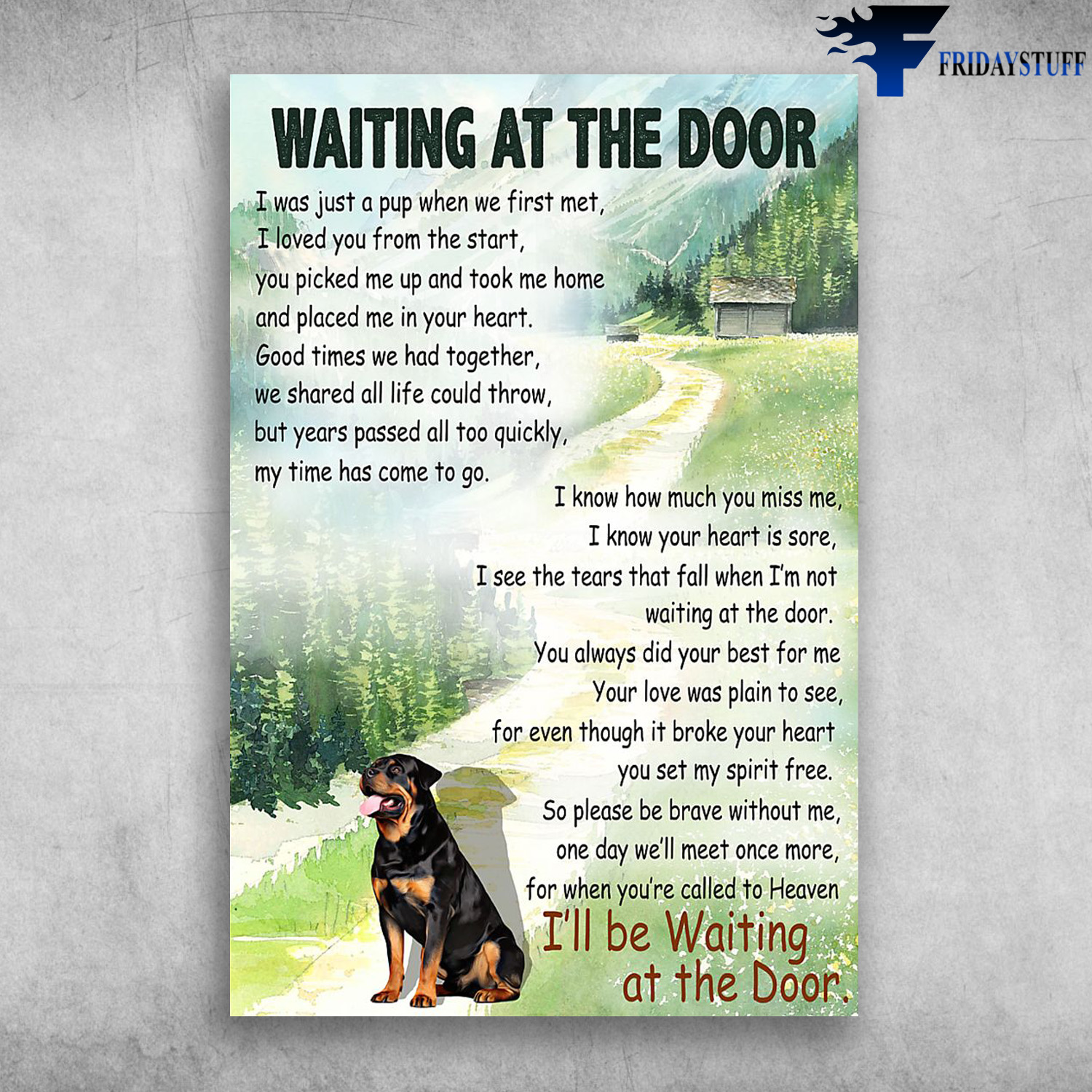 Whaiting At The Door Rottweiler Dog