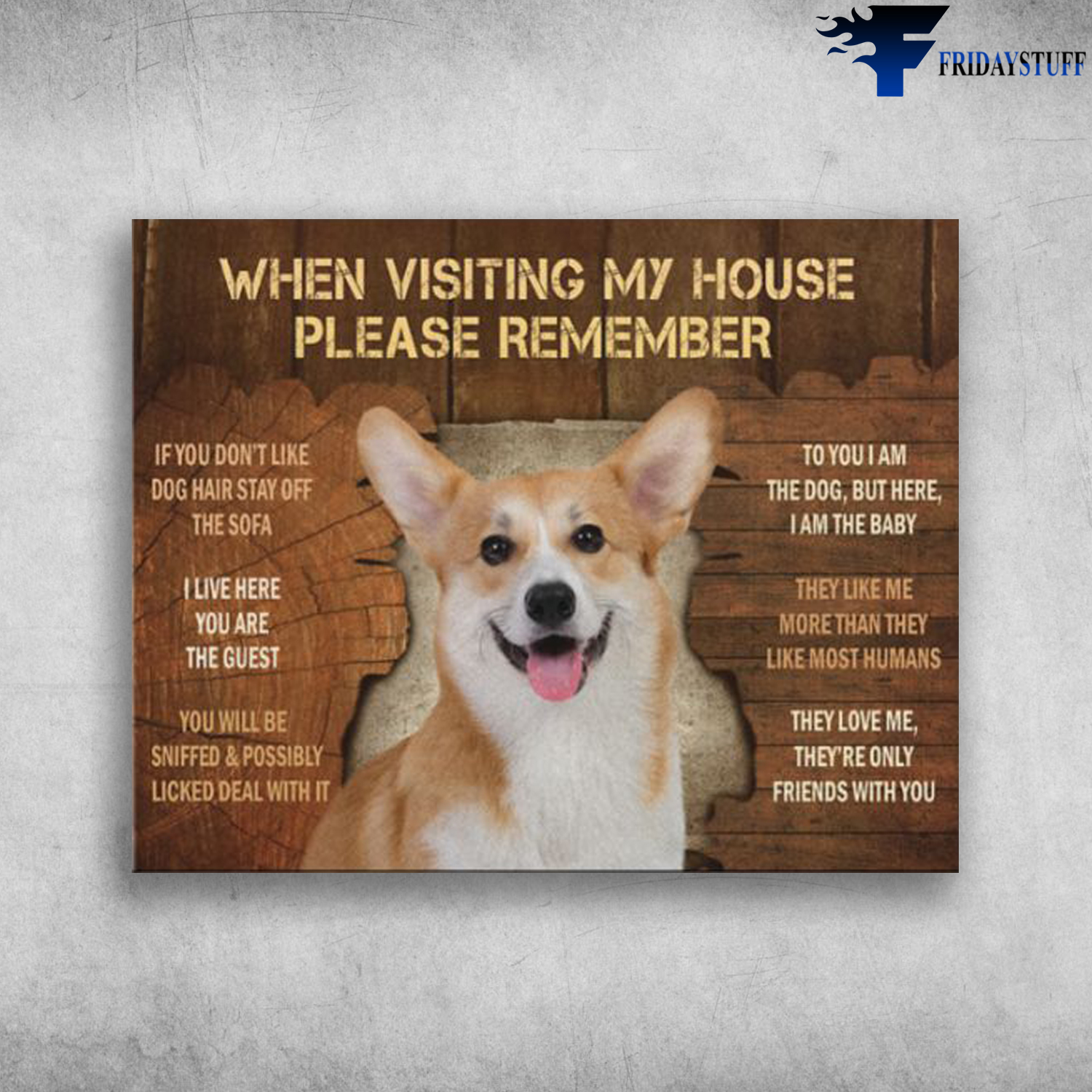 Corgi Dog When Visiting My House Please Remember