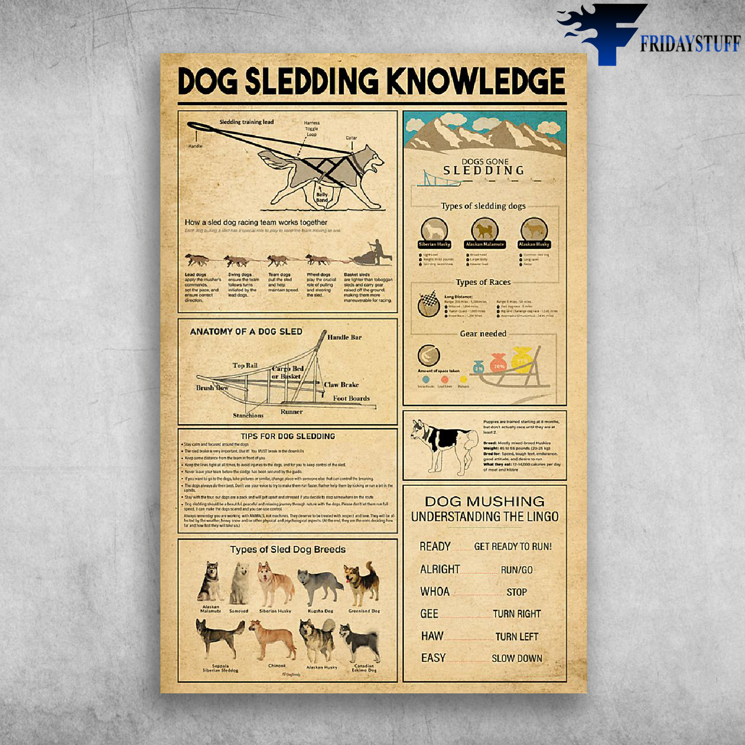 Dog Sledding Knowledge