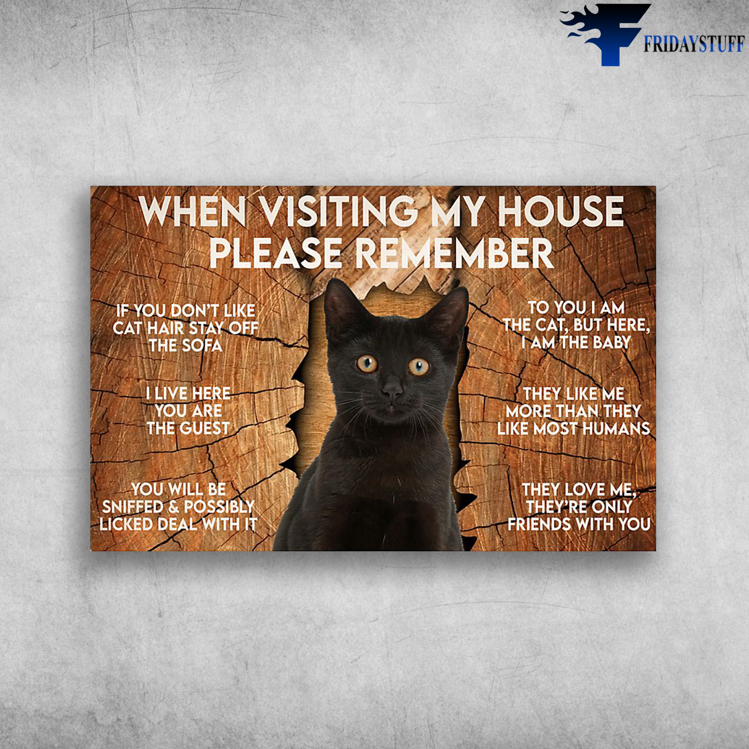 When Visiting My House Please Remember