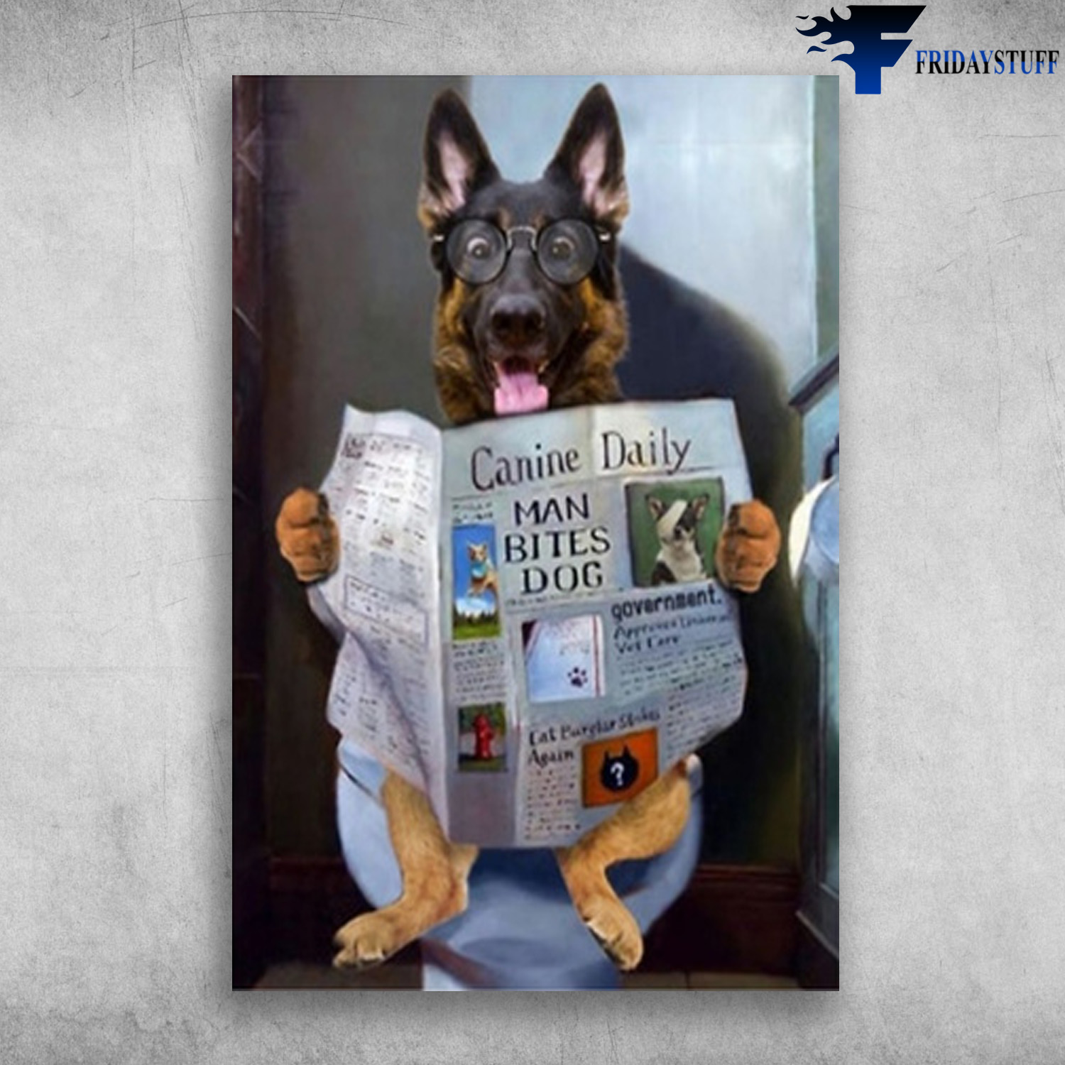 Becgie Dog Reading Newspaper In Toilet