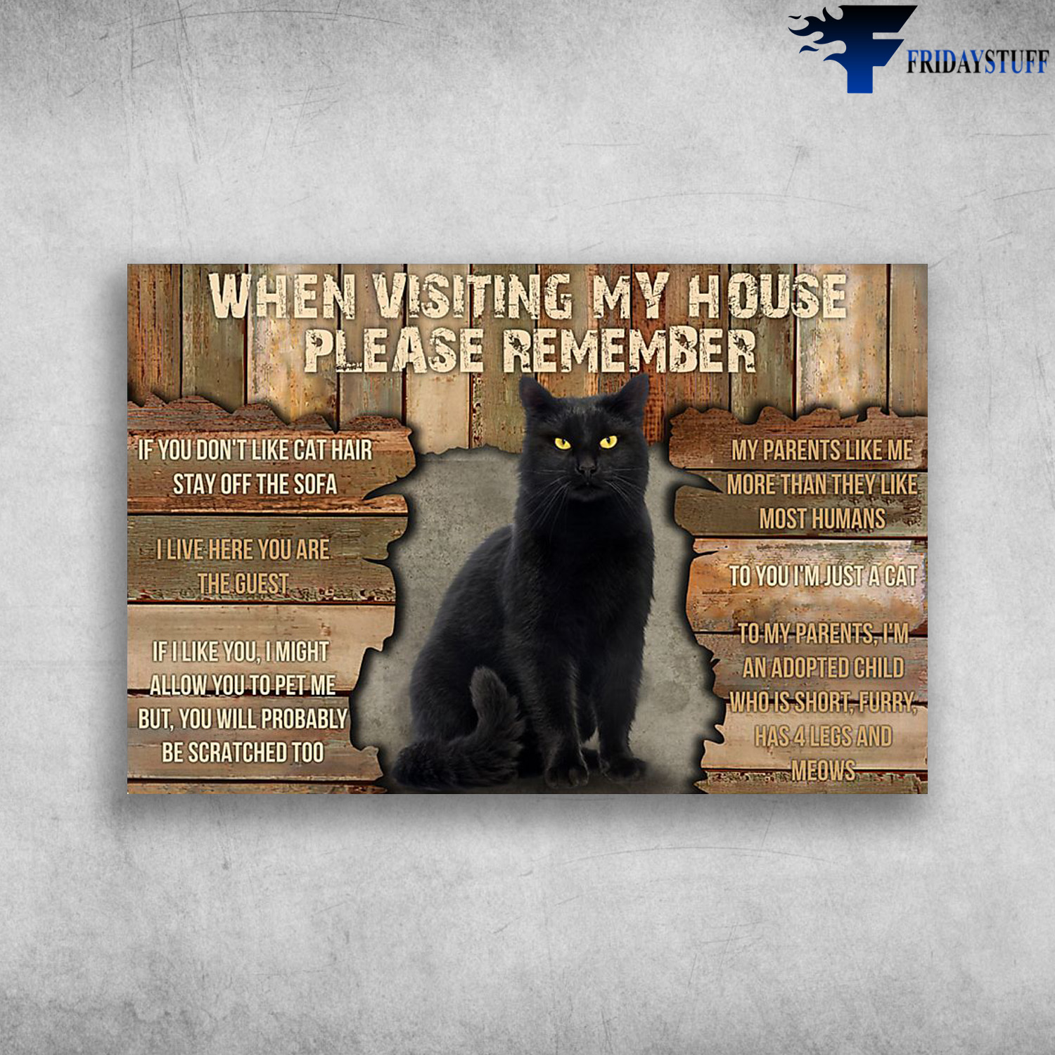 Black Cat When Visiting My House Please Remember