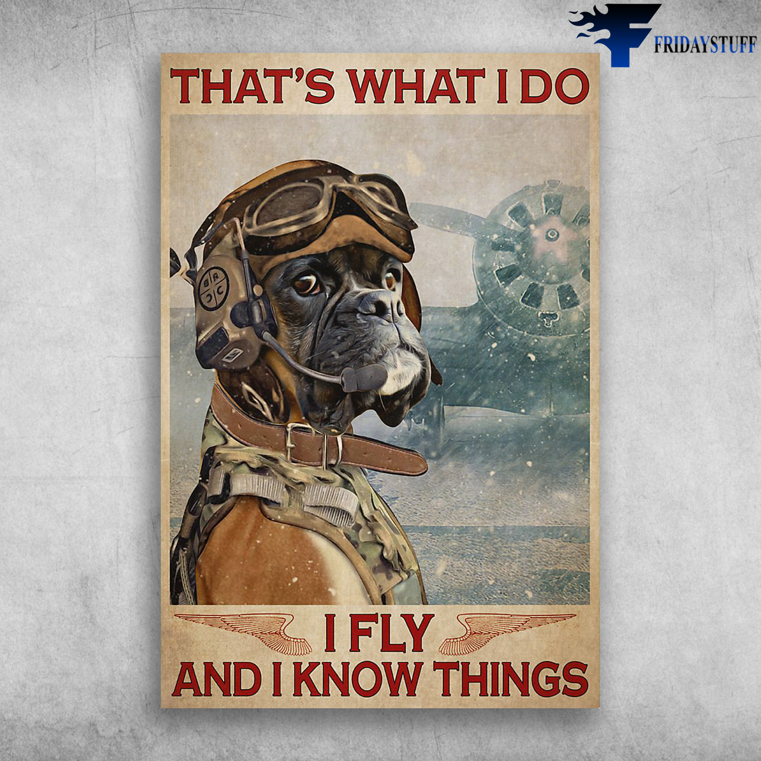 Boxer Pilot-That's What I Do. I Fly And I Know Things