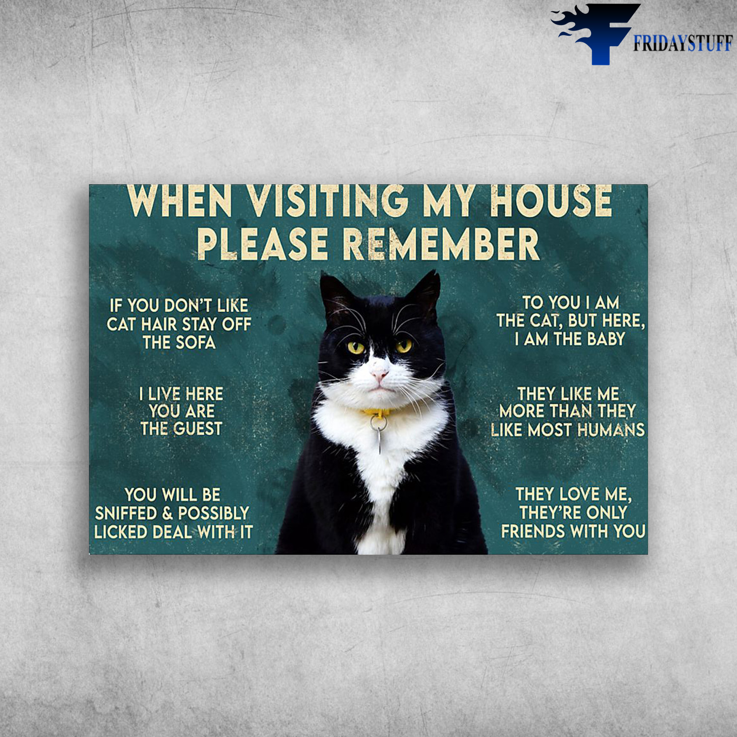 Cute Black Cat - When Visiting My House Please Remember