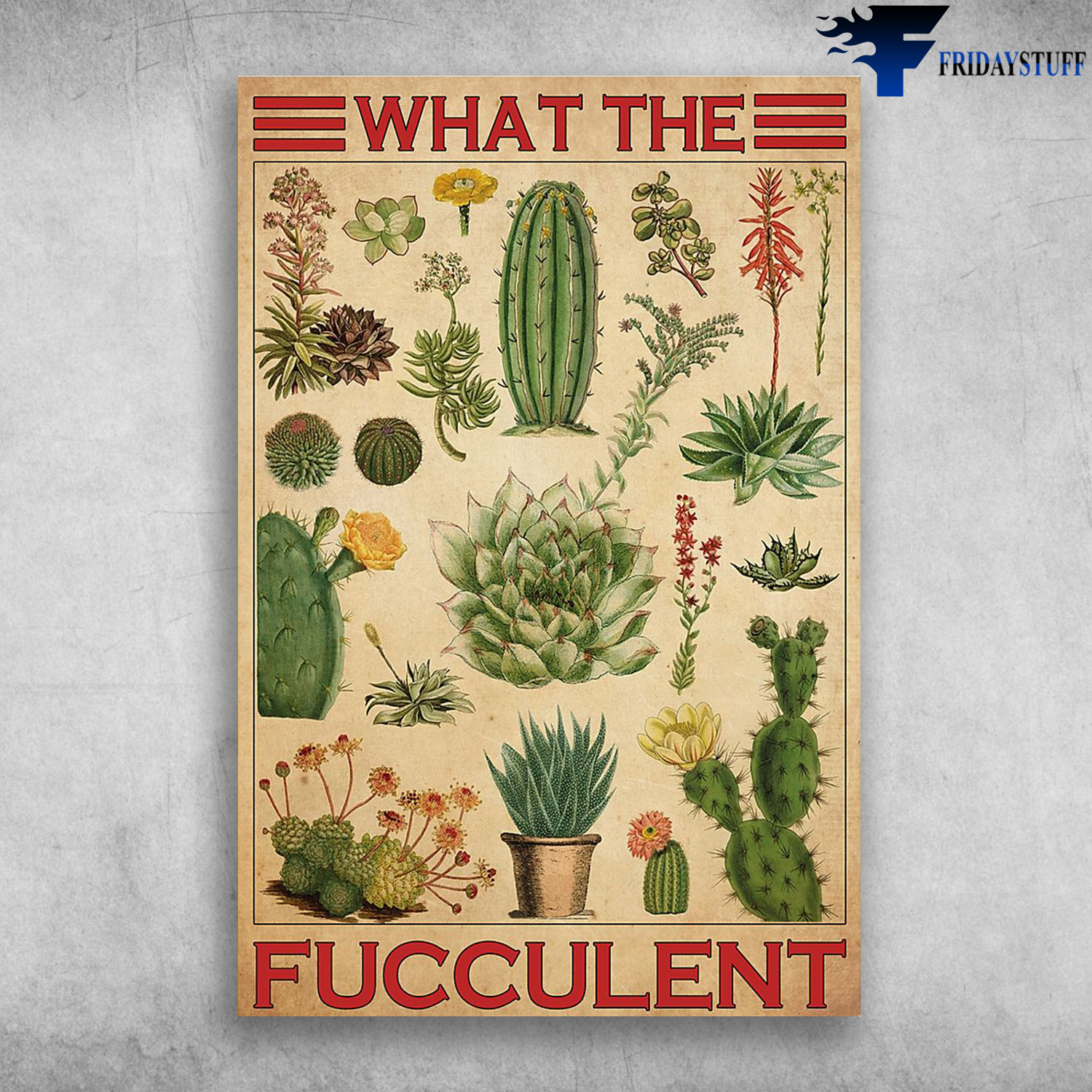 Some Types Of Cactus - What The Fucculent