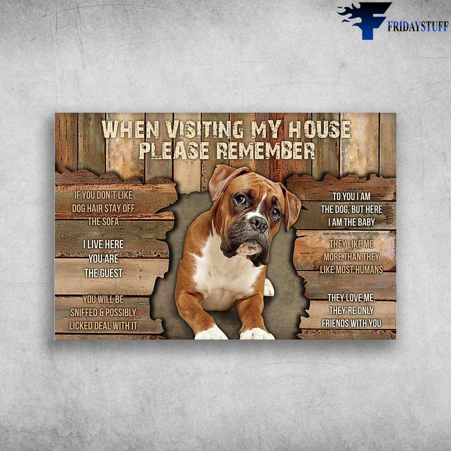 When Visiting My House Please Remember Boxer Dog
