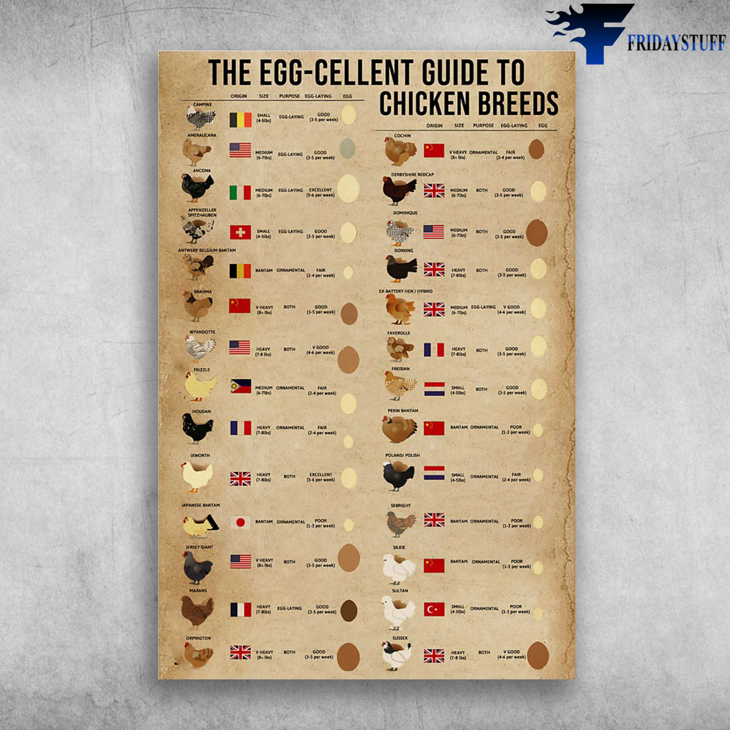 The Egg-Cellent Guide To Chicken Breeds